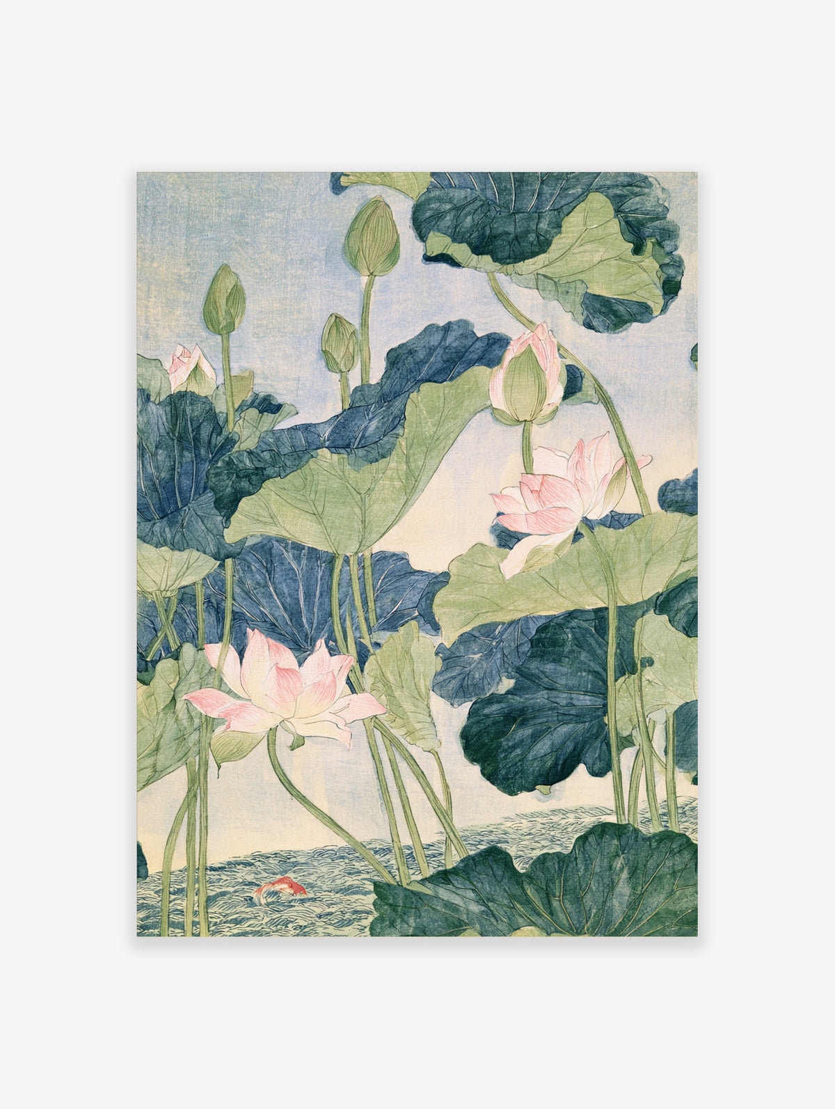 Lotus flower art print with pink blooms, green buds, blue leaves and a red koi in water