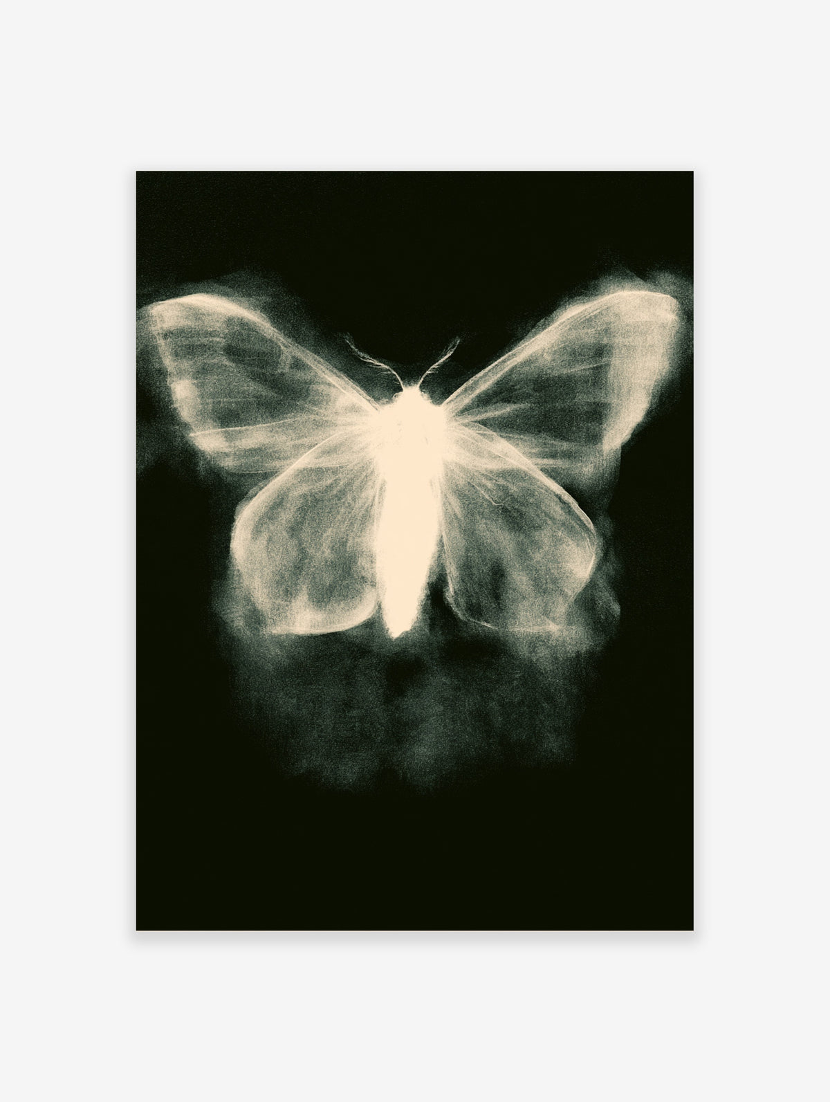 Luminous moth art print with glowing cream wings on a black background