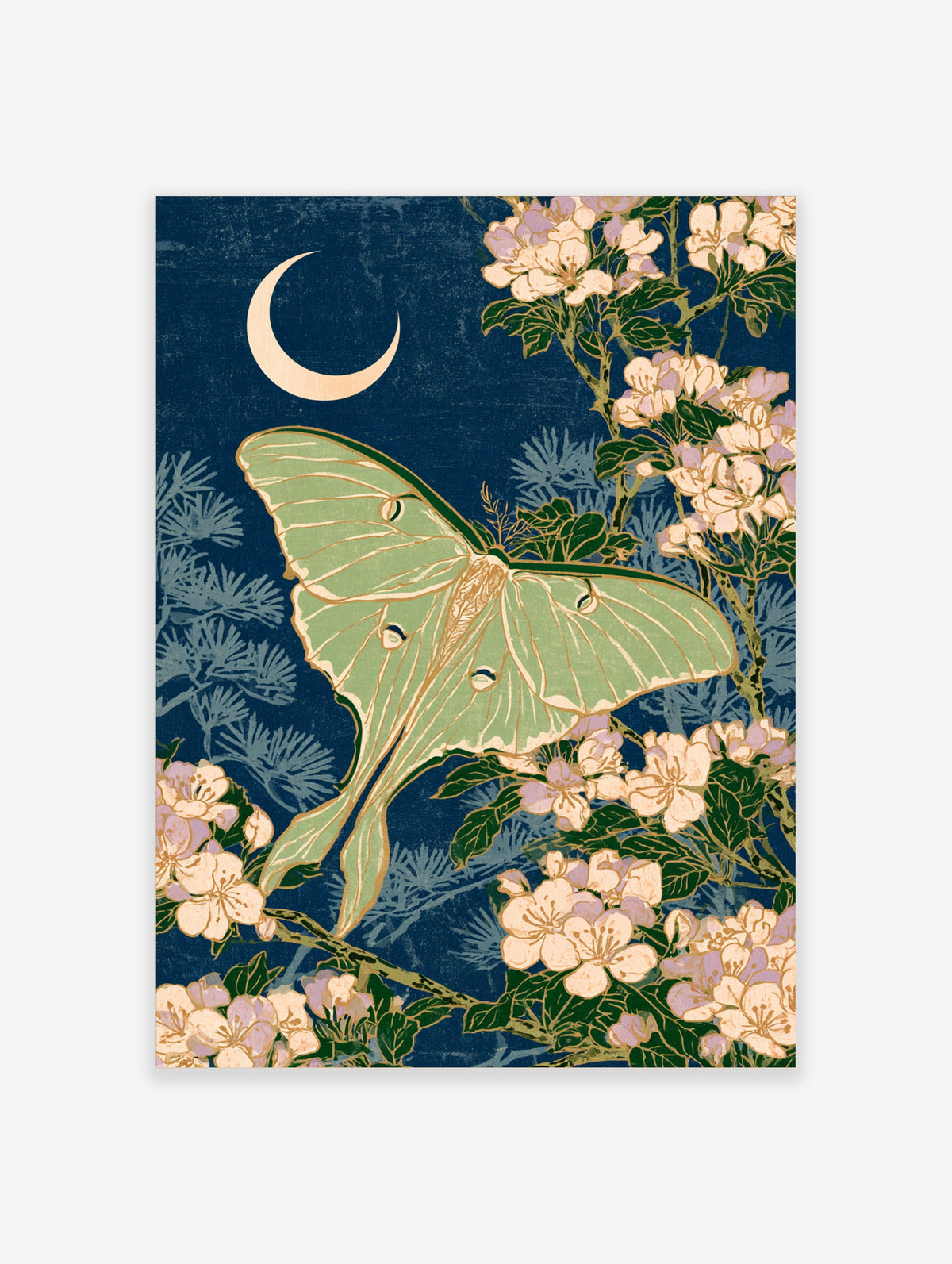Luna moth and cherry blossom art print with crescent moon on navy blue background