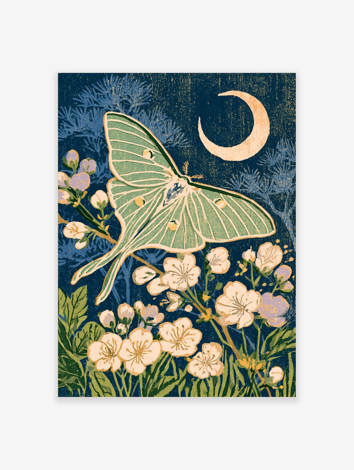 Green luna moth and cherry blossom art print with crescent moon on blue night sky