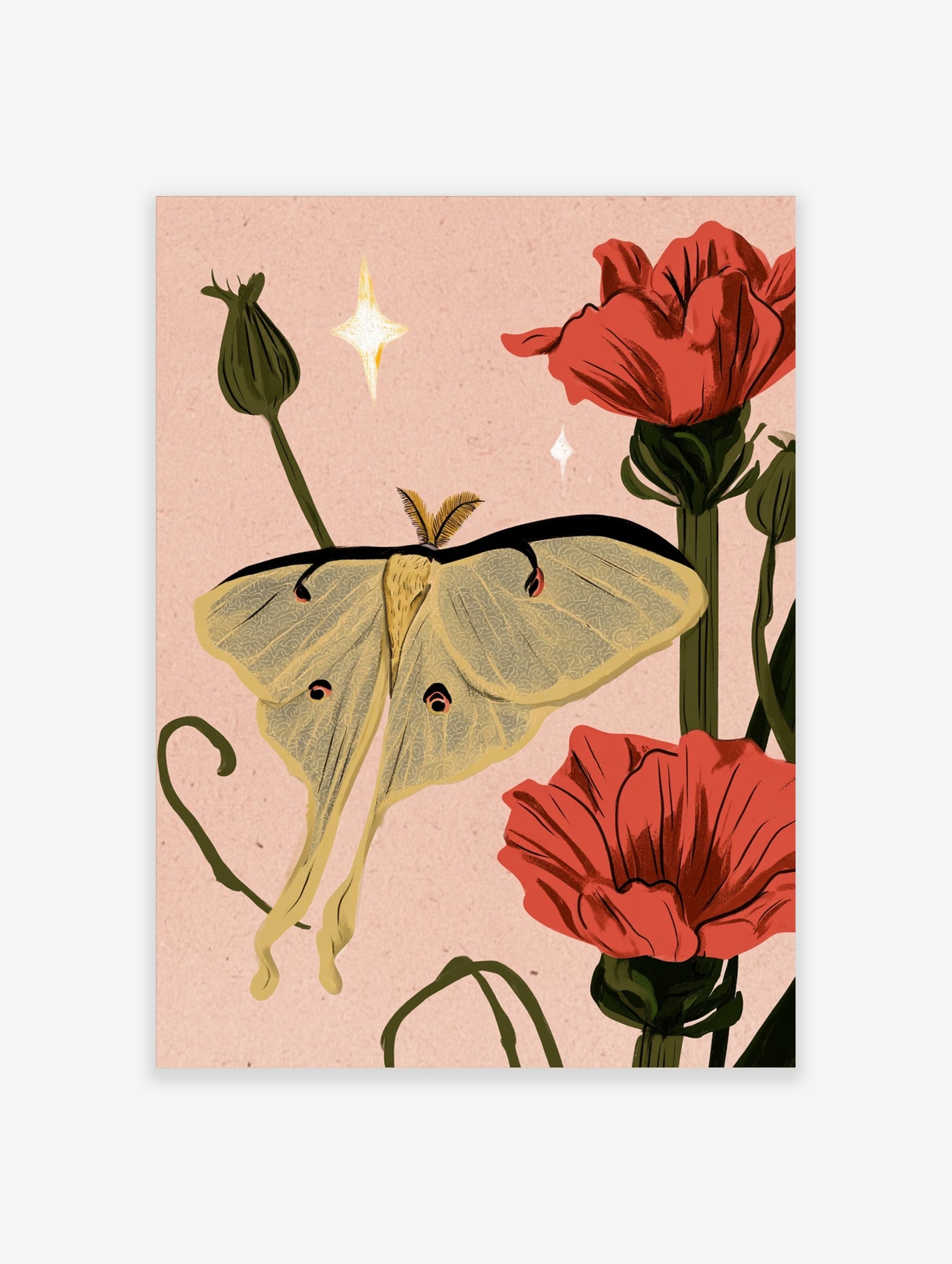 Luna moth illustration with pale yellow wings between two red poppy flowers on a pink background with star accents