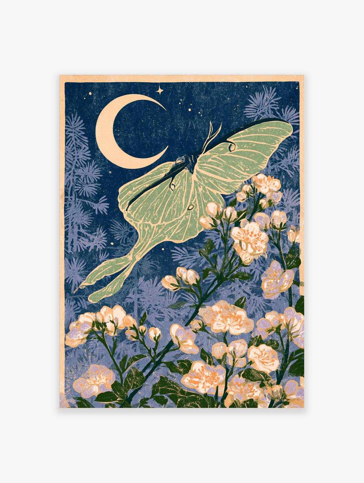 Luna moth and crescent moon art print with cream blossoms on navy background