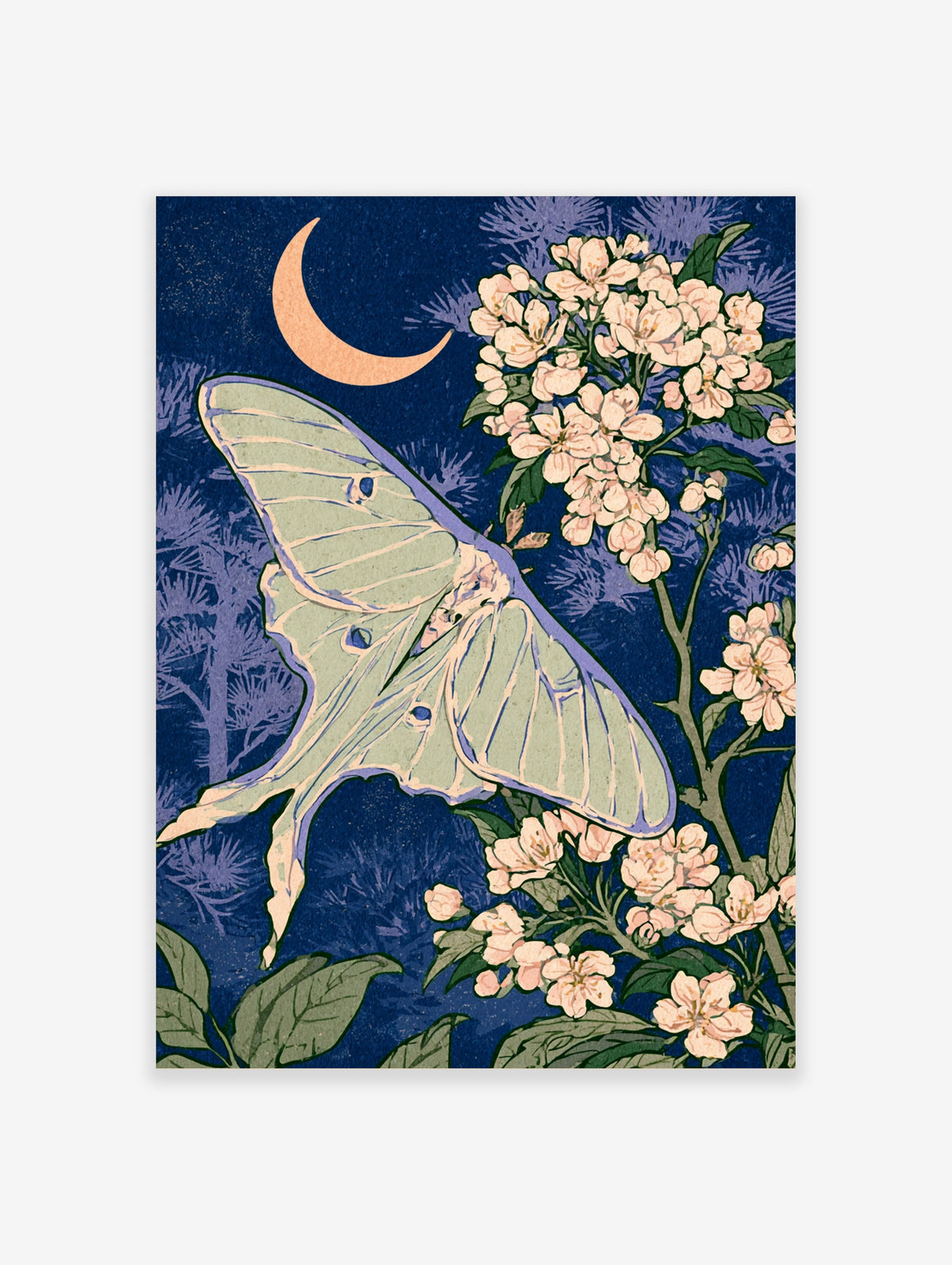 Luna moth and pink cherry blossoms under a crescent moon on indigo Japanese-style poster