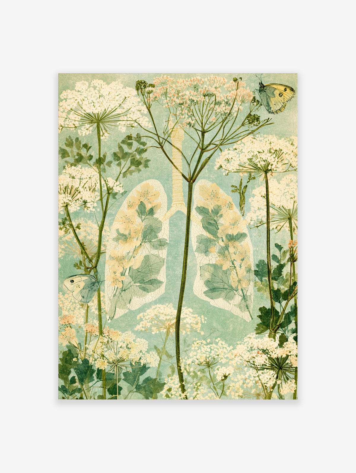 Botanical anatomy poster of human lungs filled with wildflowers and butterflies on green background