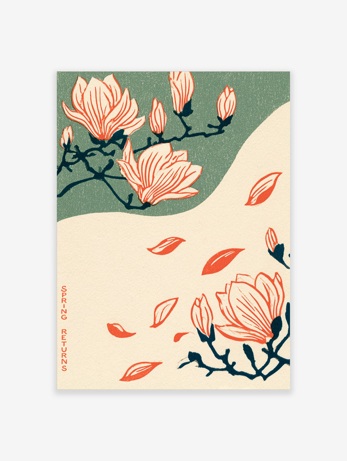 Coral pink magnolia flowers and falling petals on sage green and cream background with SPRING RETURNS text