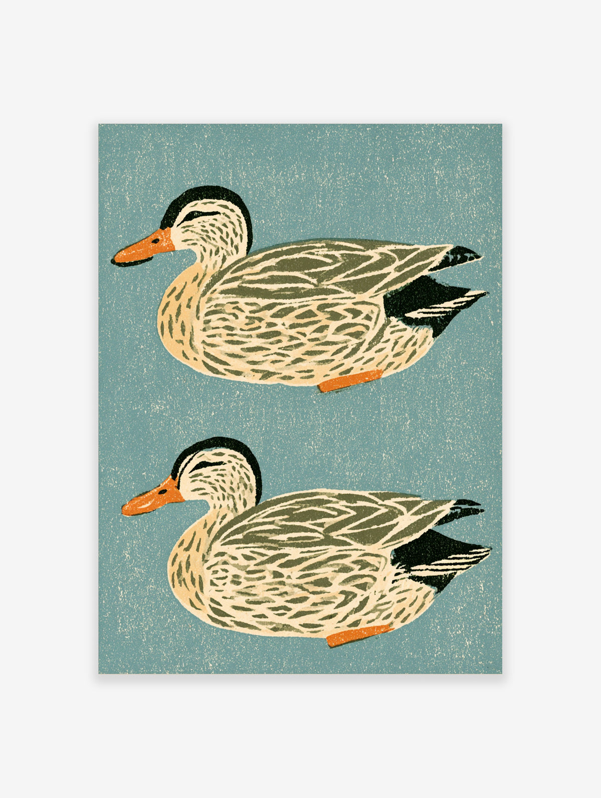 Vintage-style illustration of two mallard ducks in profile on a textured teal background