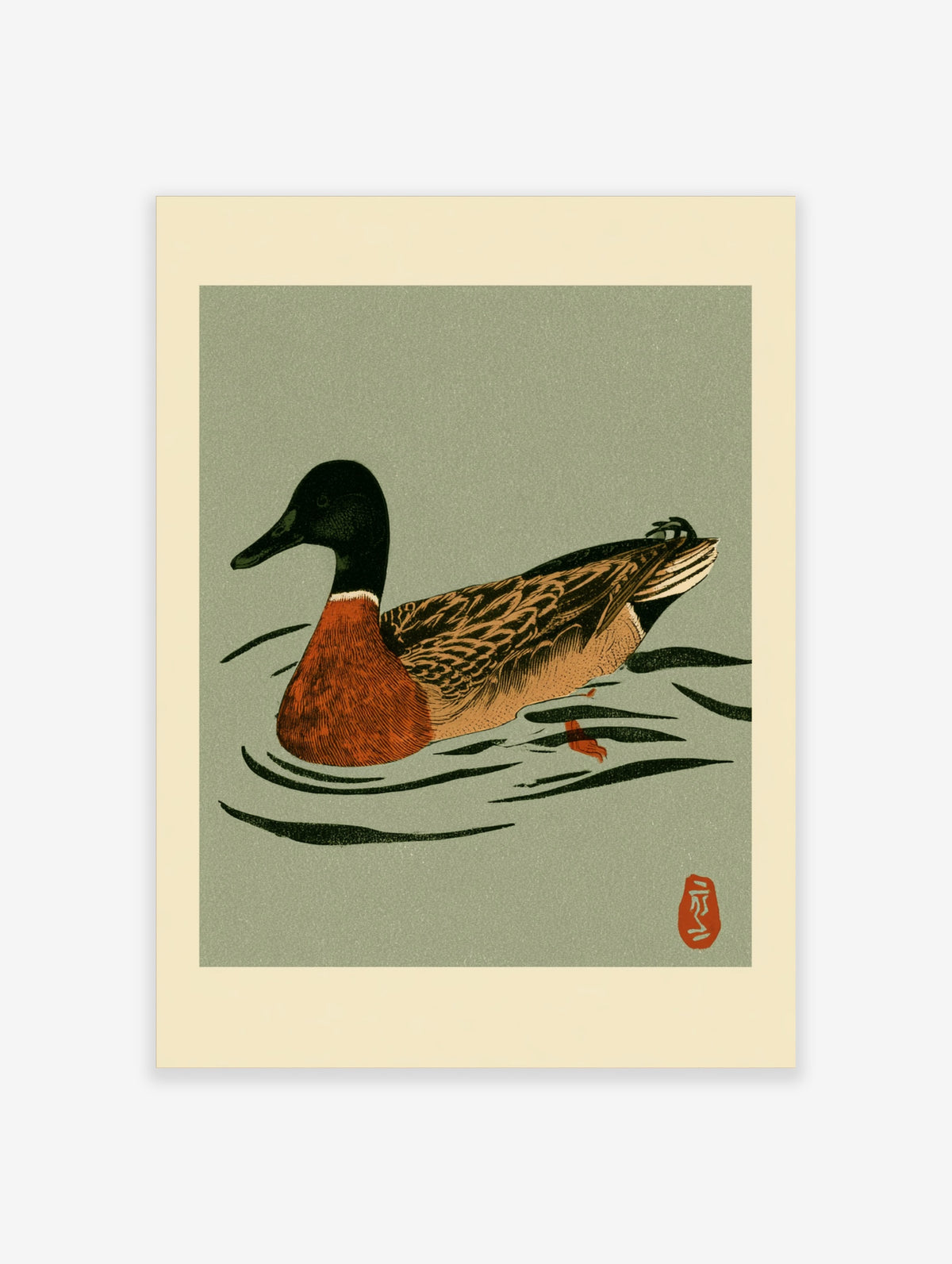 Mallard duck art print floating on water in Japanese woodblock style with sage background