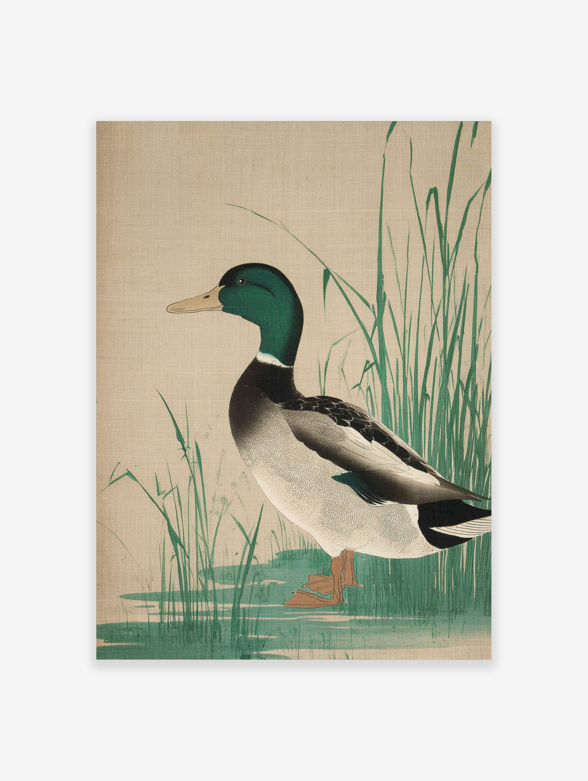 Mallard duck art print with green head standing beside tall reeds in Japanese woodblock style