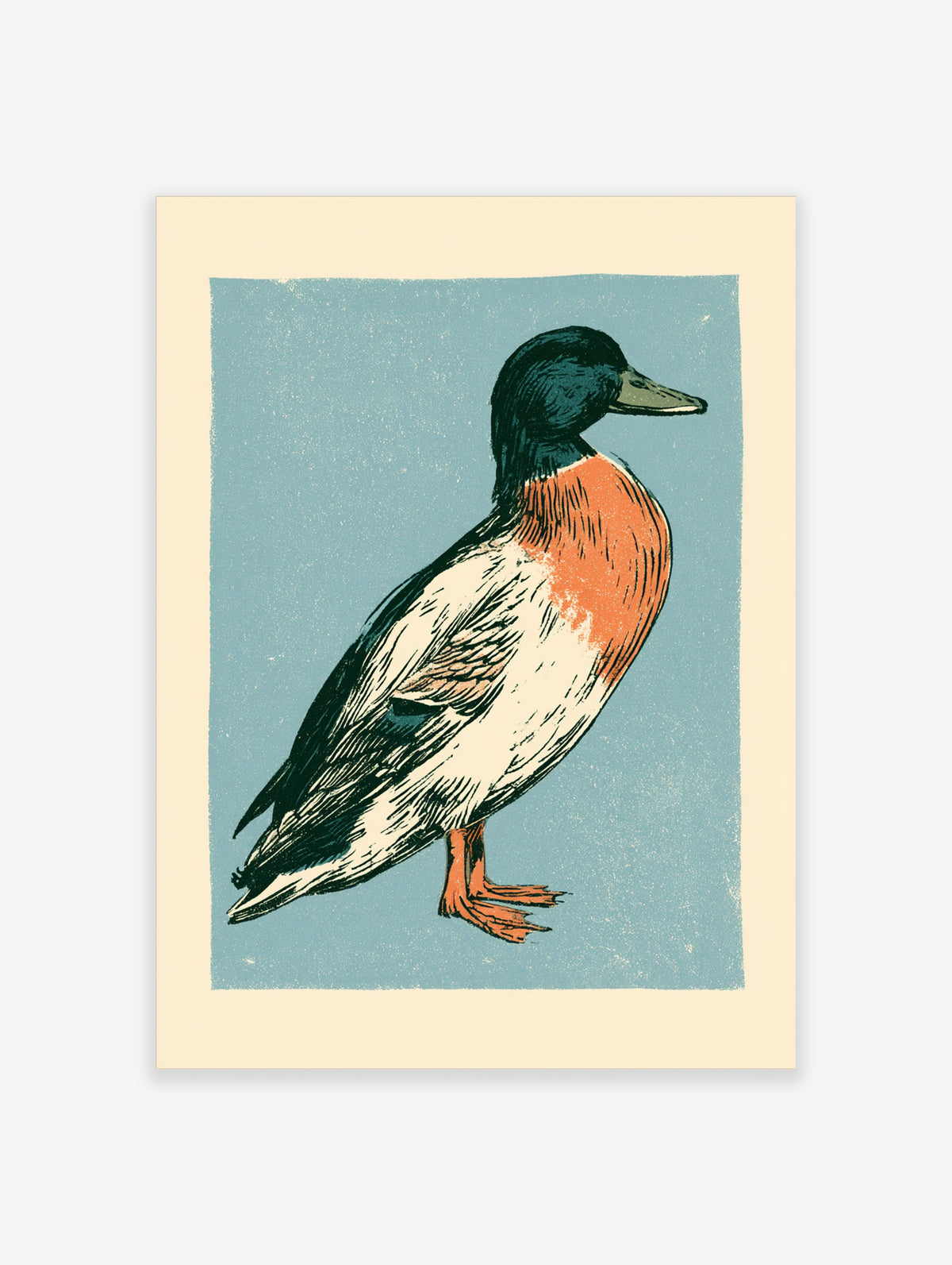 Mallard duck art print with teal head and orange breast on blue background