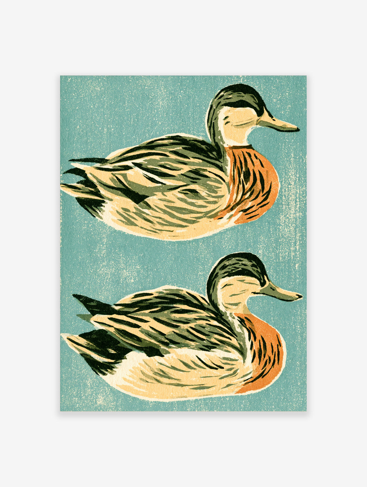 Two mallard ducks in profile on a teal background, vintage-style bird art print