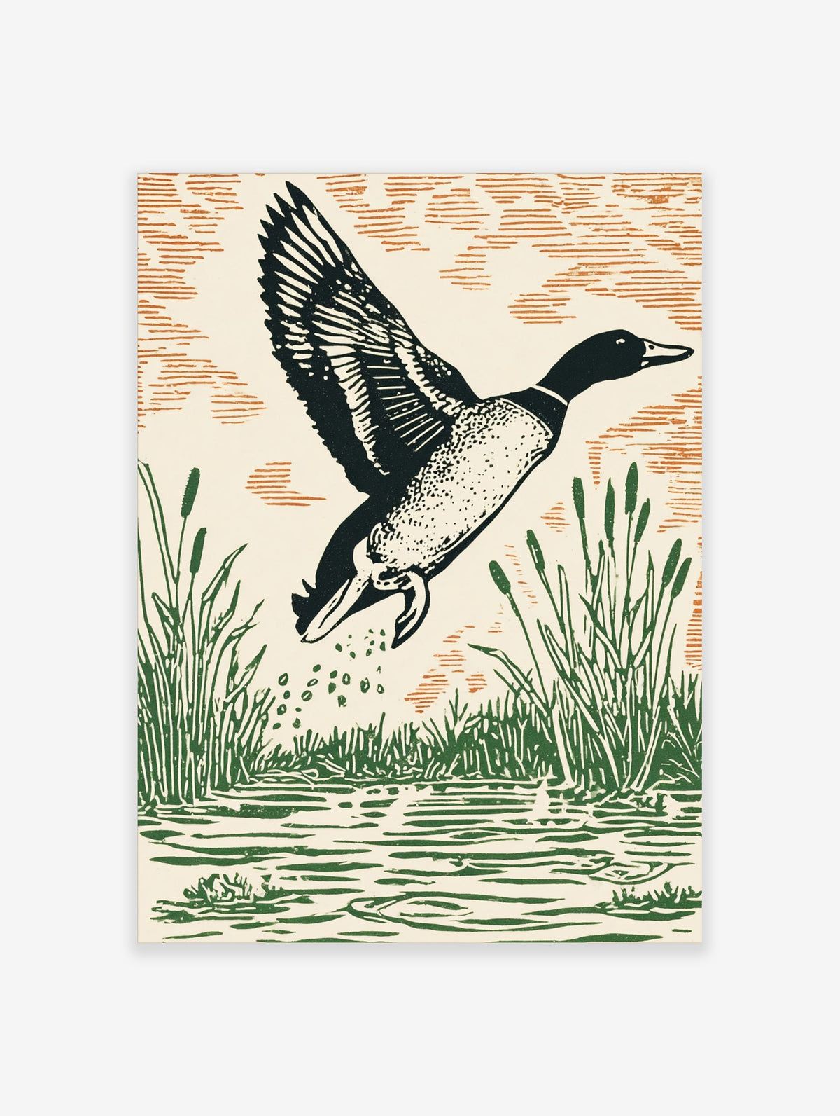 Linocut style art print of a mallard duck flying from water with green reeds and orange-brown sky