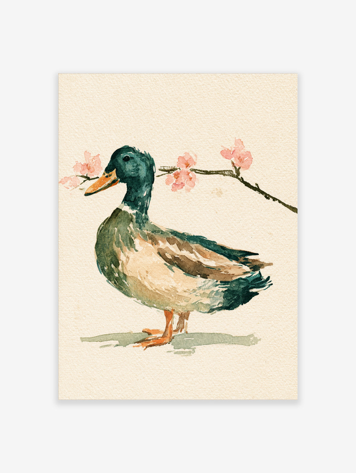 Mallard duck watercolour art print with teal head and pink blossom branch on cream background