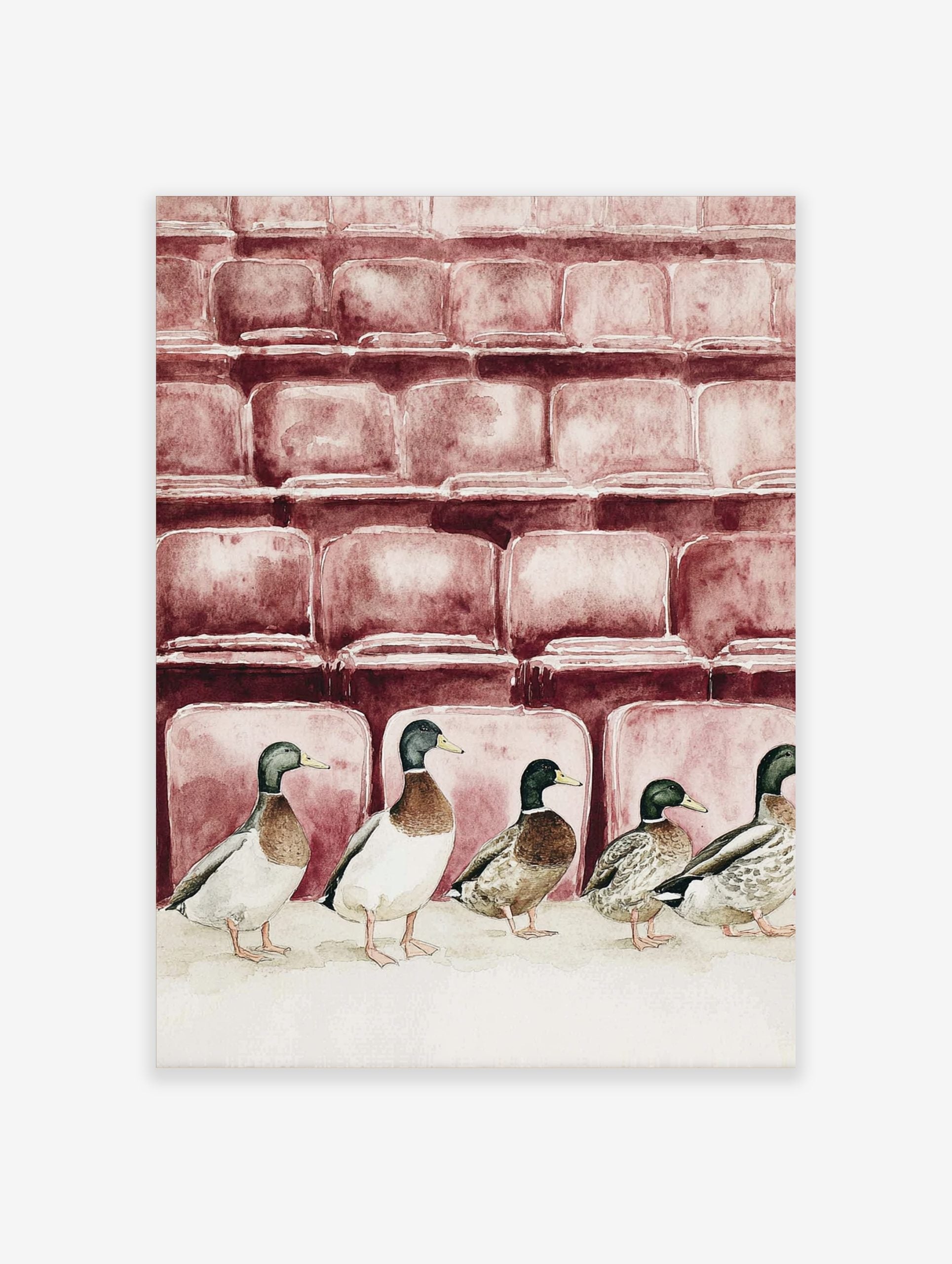 Watercolour illustration of five mallard ducks in a row in front of reddish-brown theatre seats