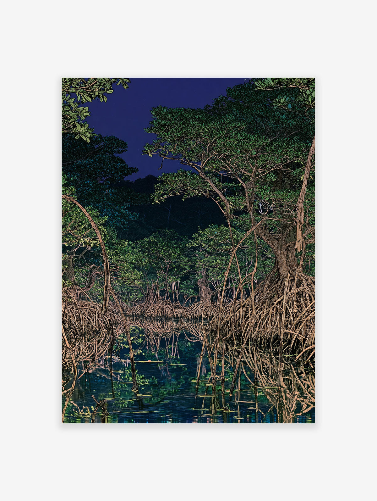 Illustration of a dark mangrove forest at night with tangled roots reflected in still water under a deep blue sky.