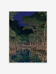 Illustration of a dark mangrove forest at night with tangled roots reflected in still water under a deep blue sky.