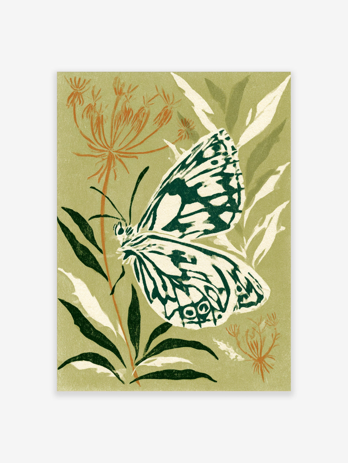 Illustrative marbled white butterfly on plant against olive green background botanical art print