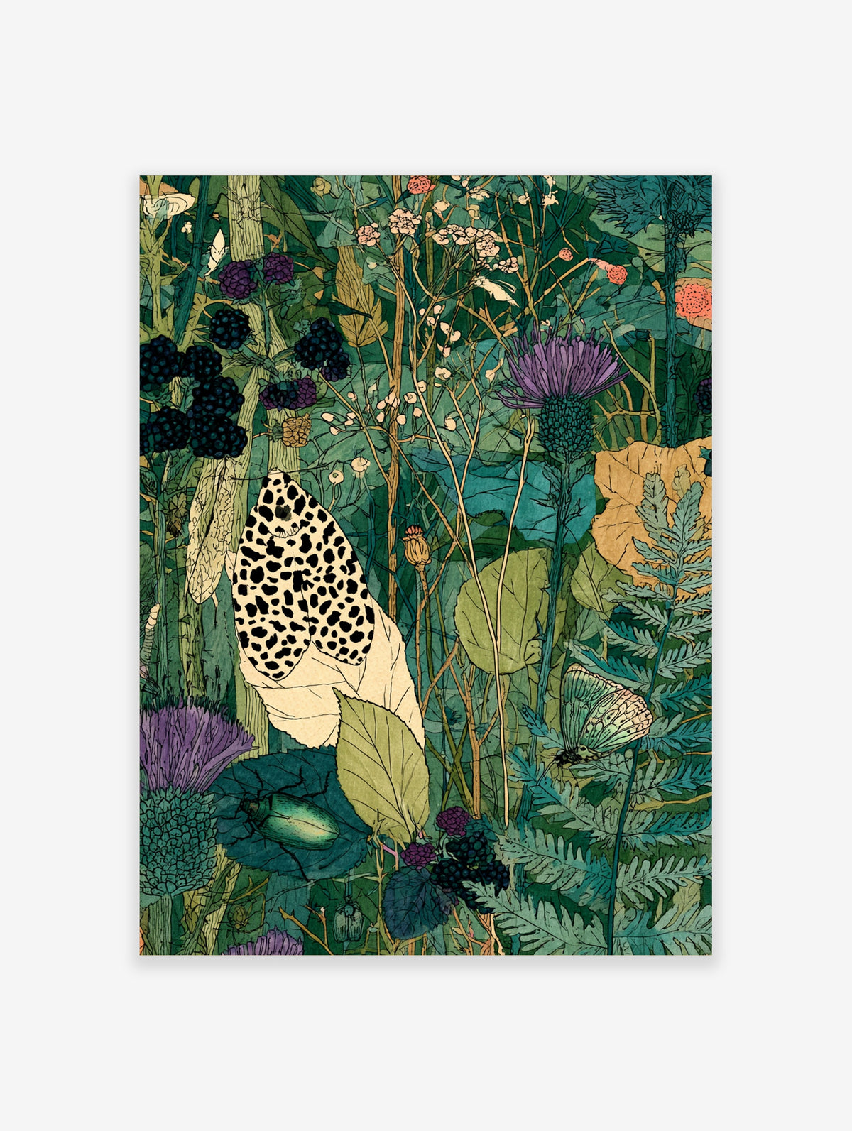 Meadow insect poster with leopard moth, purple thistles, blackberries, and green beetle among foliage