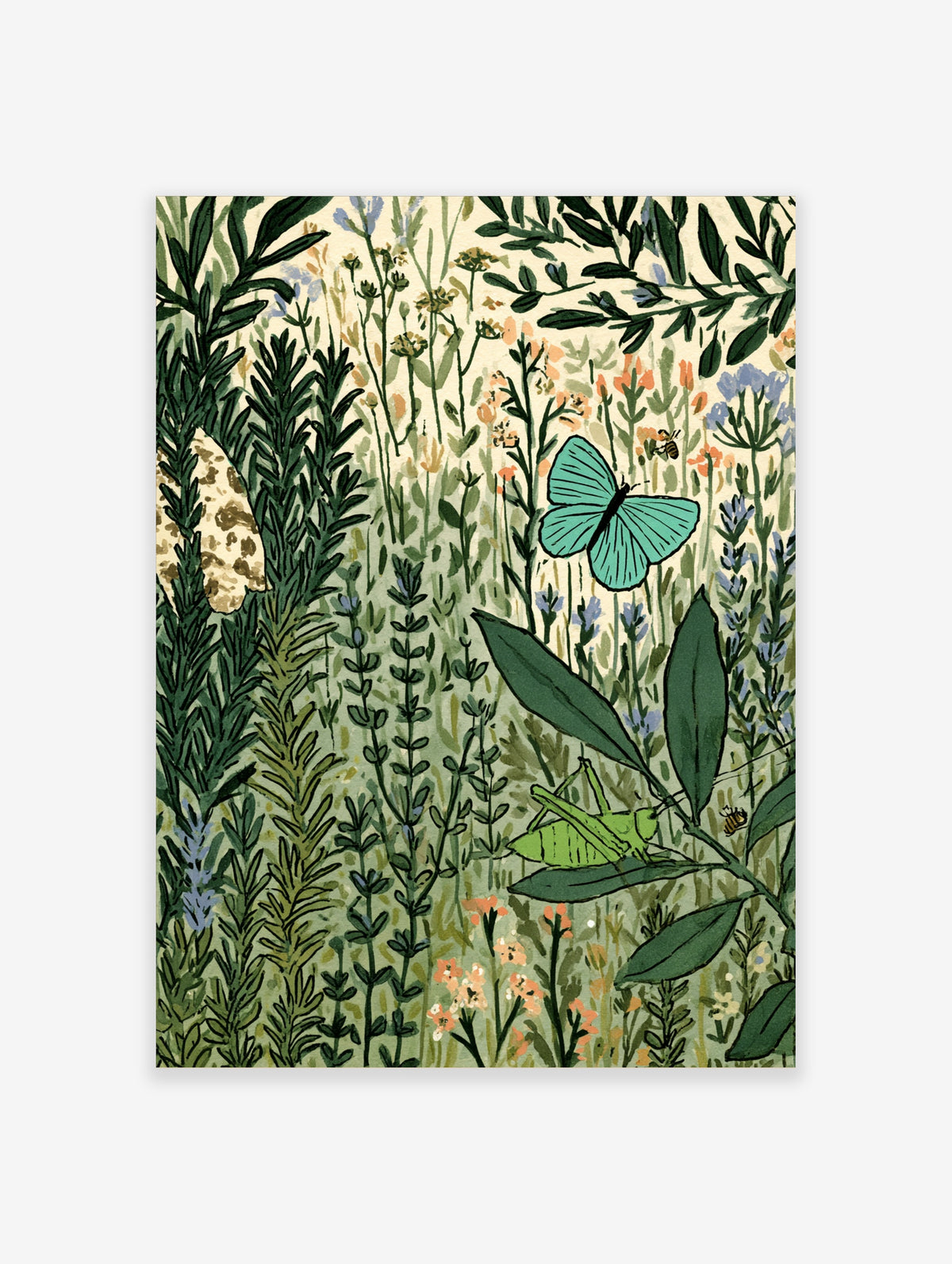 Illustrated meadow poster with teal butterfly, green grasshopper, and wildflowers on cream background