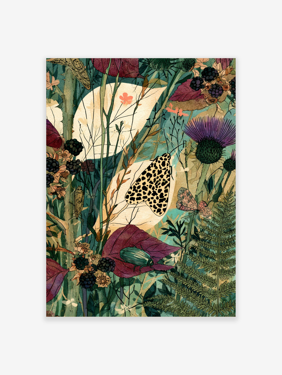 Meadow wildlife poster with leopard moth, green beetle, purple thistle, and blackberries on a cream moon