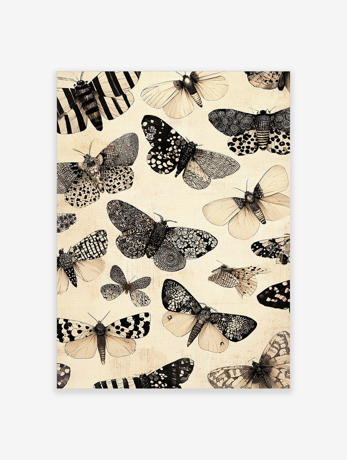 Monochrome butterfly and moth art print with patterned wings on cream background
