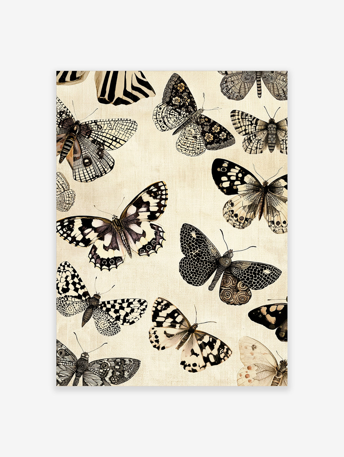 Monochrome butterfly illustrations on beige background, vintage style insect art print