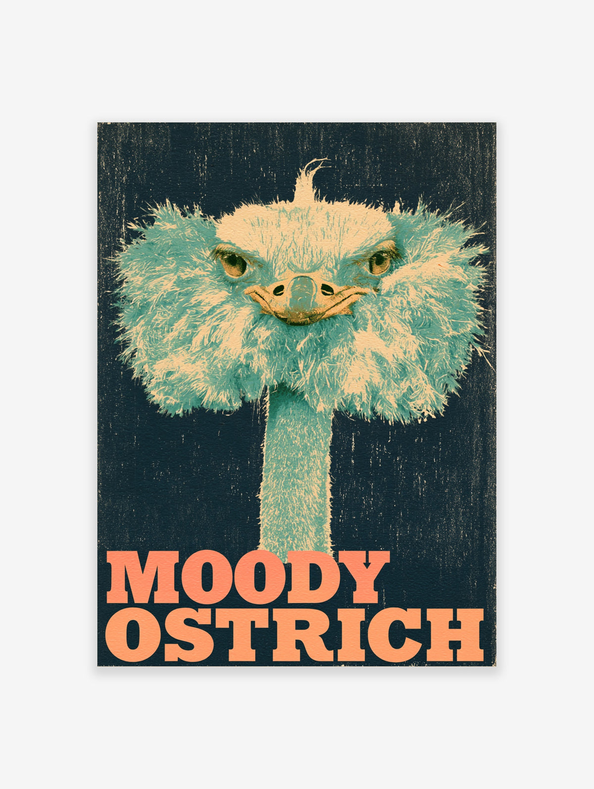 Moody ostrich portrait in teal and cream with orange MOODY OSTRICH typography on navy background