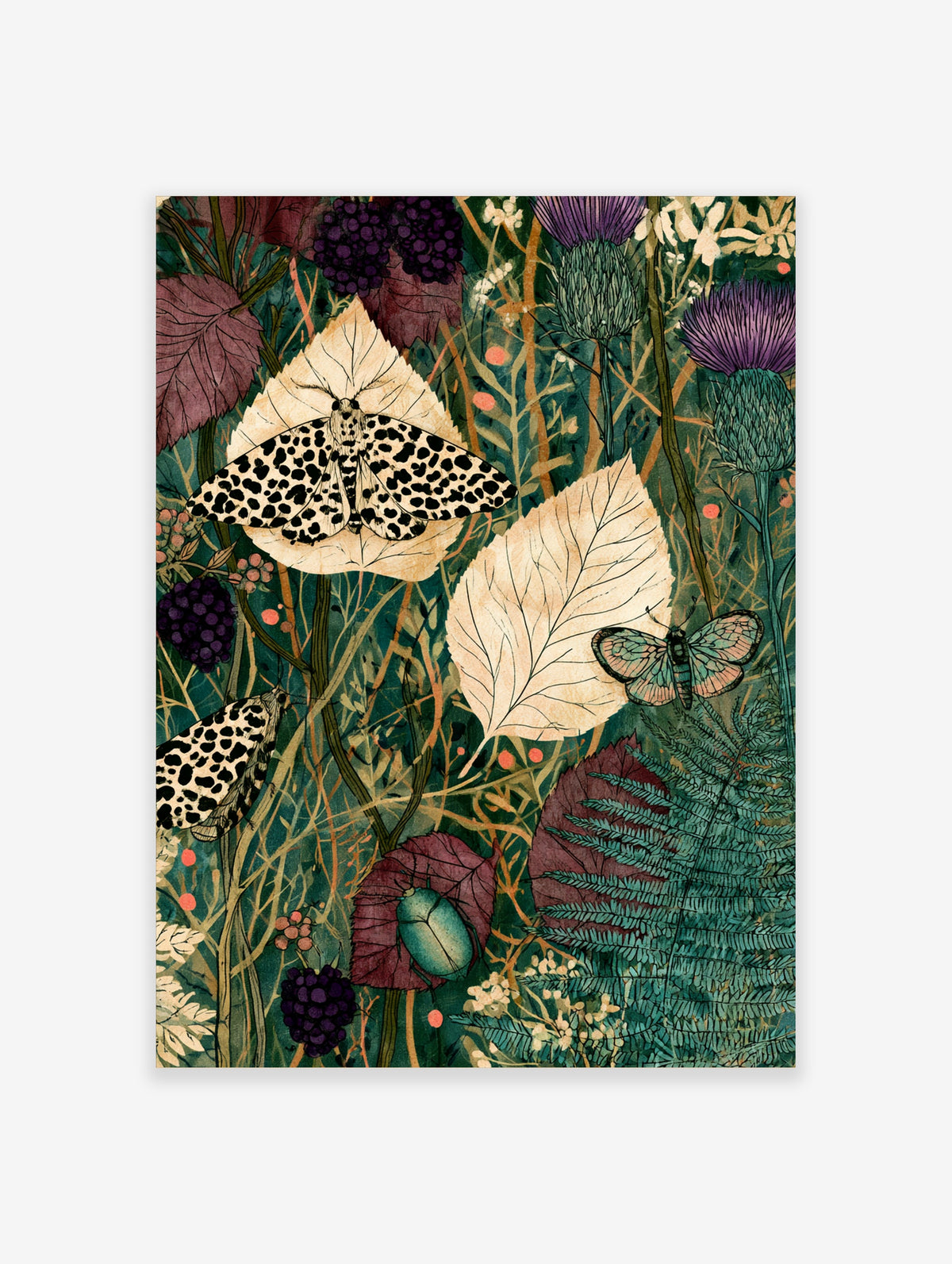 Botanical poster with spotted moth, teal beetle, purple thistles, and cream leaves on green