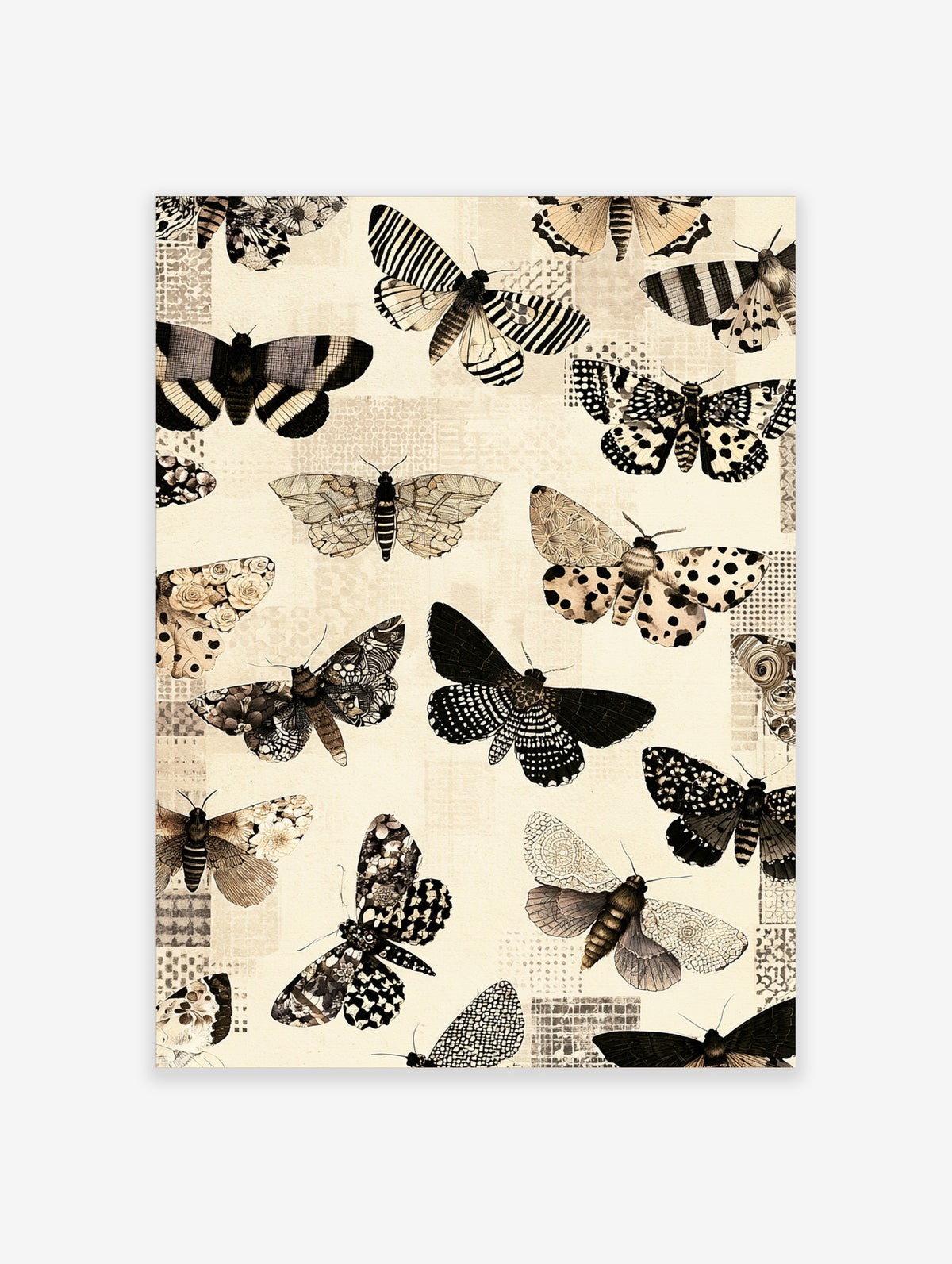 Monochrome moth and butterfly art print with patterned wings on cream background
