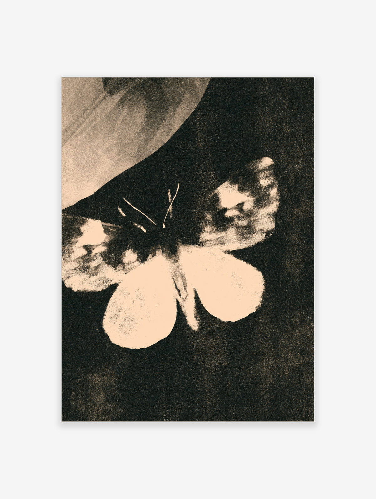 Monochrome moth art print with pale cream wings on a textured dark background