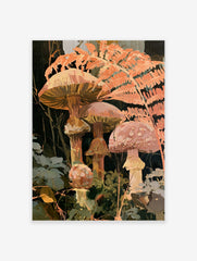 Botanical art print of forest mushrooms and fern fronds in warm orange and terracotta colours on a dark background