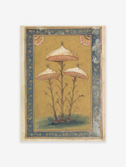 Botanical illustration of three ornate mushrooms with speckled caps and pink gills, framed by a blue border