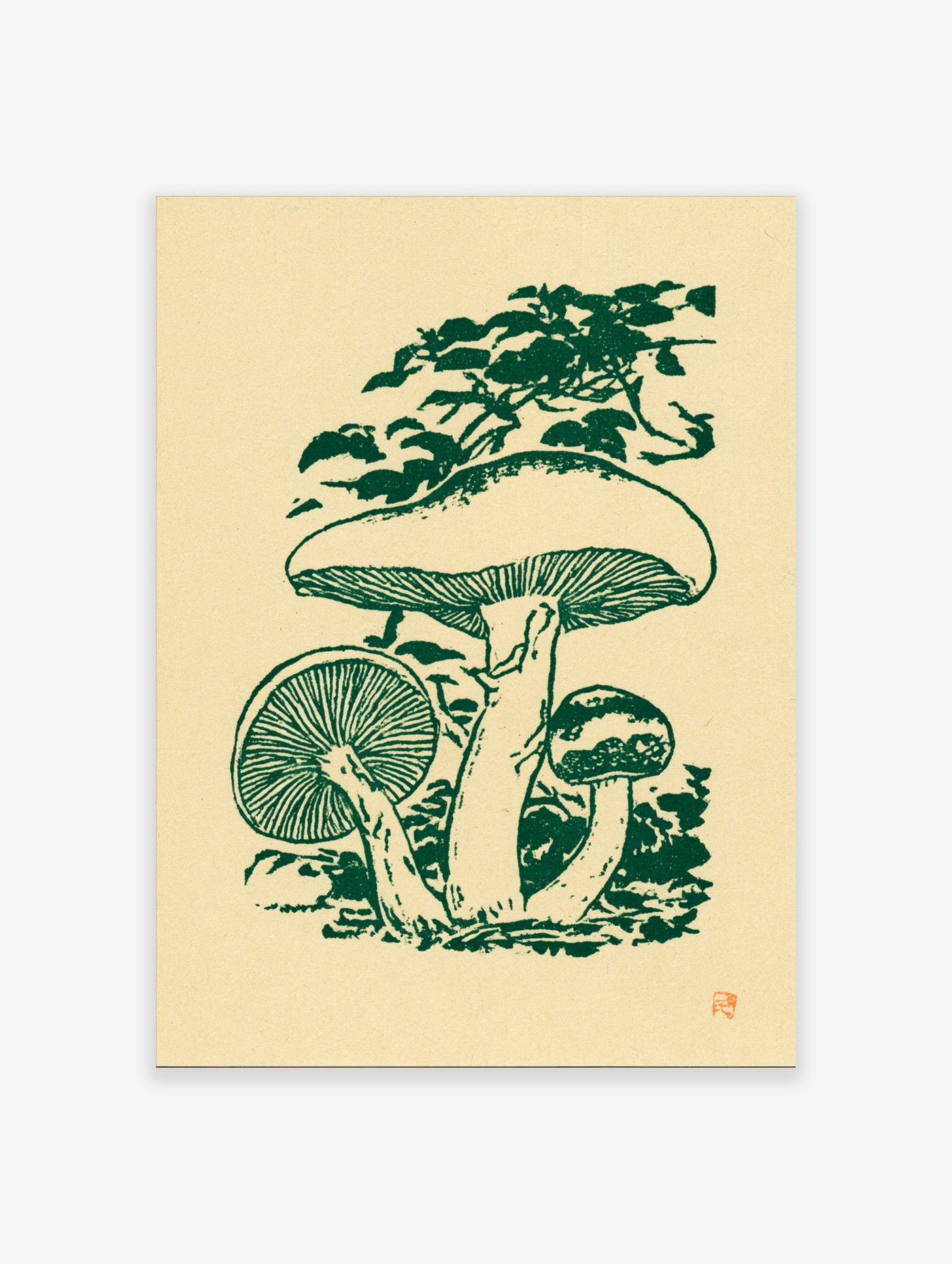 Mushroom botanical illustration in green ink on beige paper, featuring three mushrooms with detailed gills and stems
