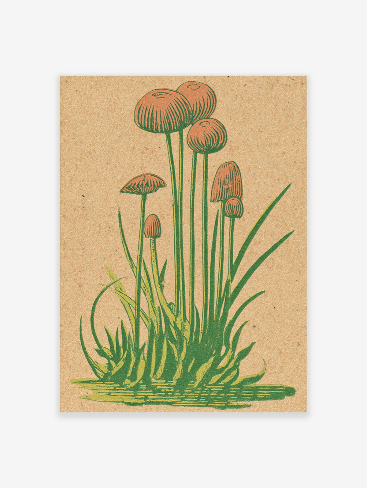 Vintage botanical illustration of orange-capped mushrooms on tall green stems with grass on a beige background