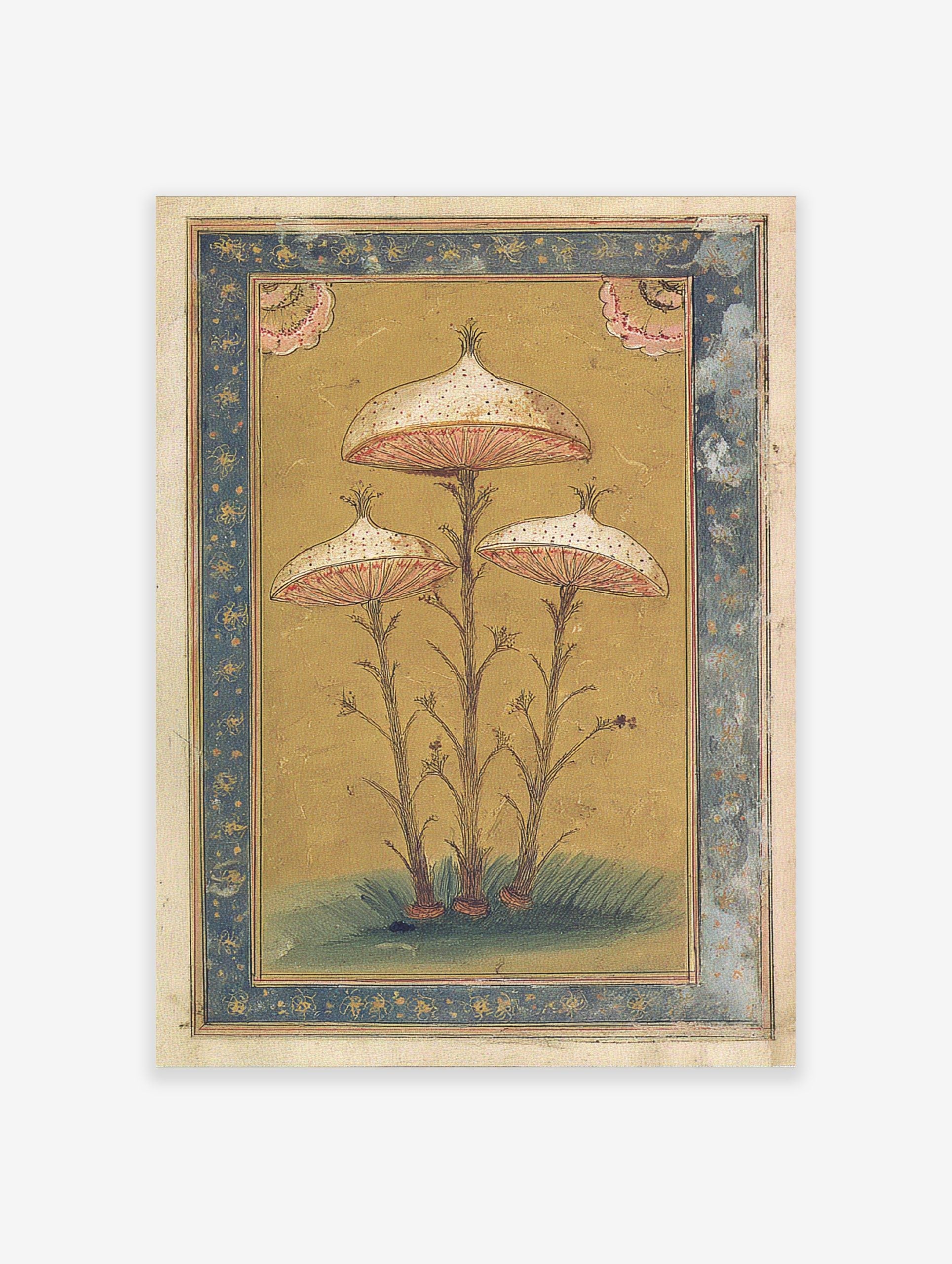 Botanical illustration of three stylised mushrooms with white spotted caps, pink gills, and thin stems on golden background