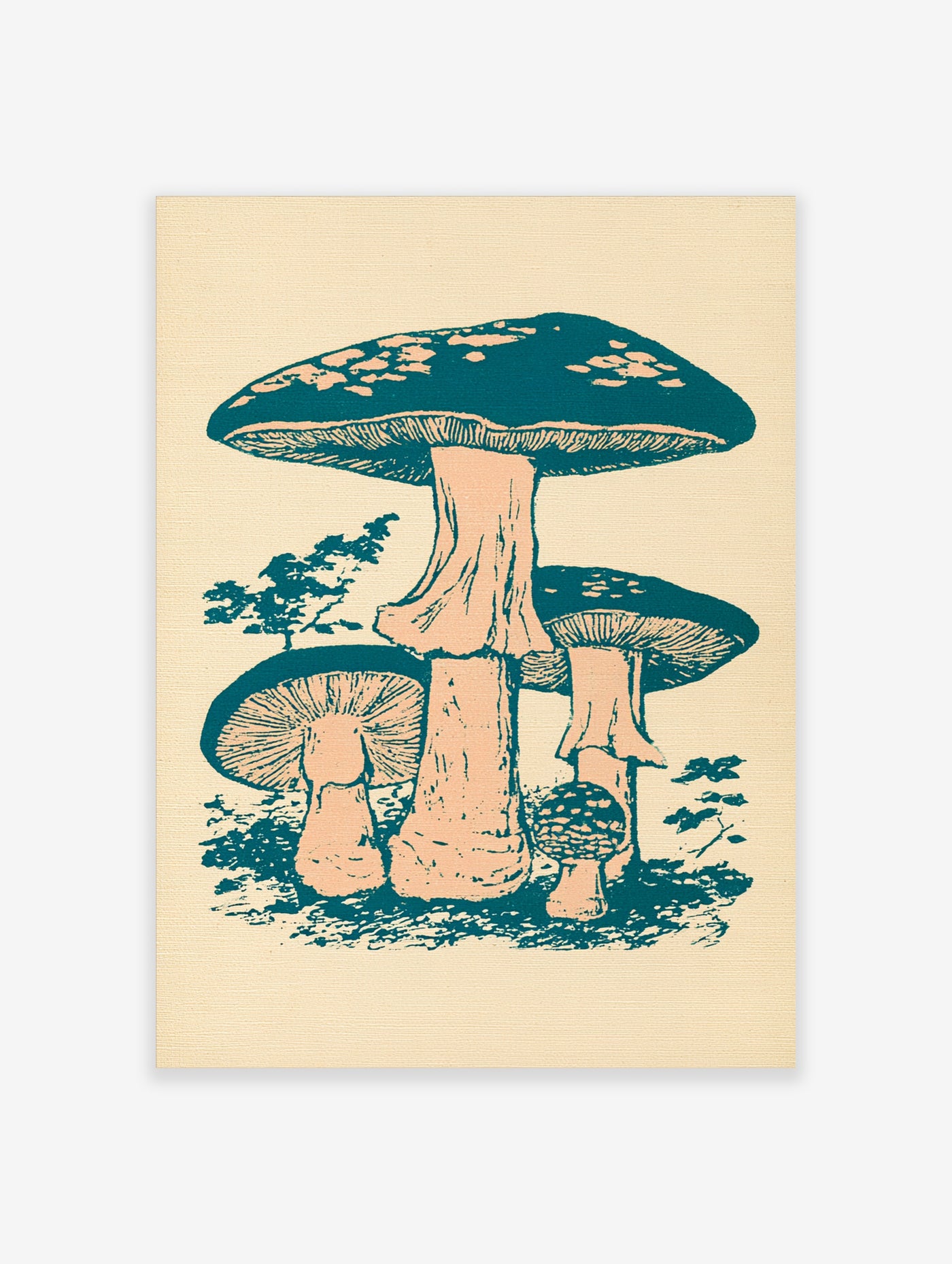 Mushroom wall art illustration of three mushrooms in teal and beige vintage botanical style