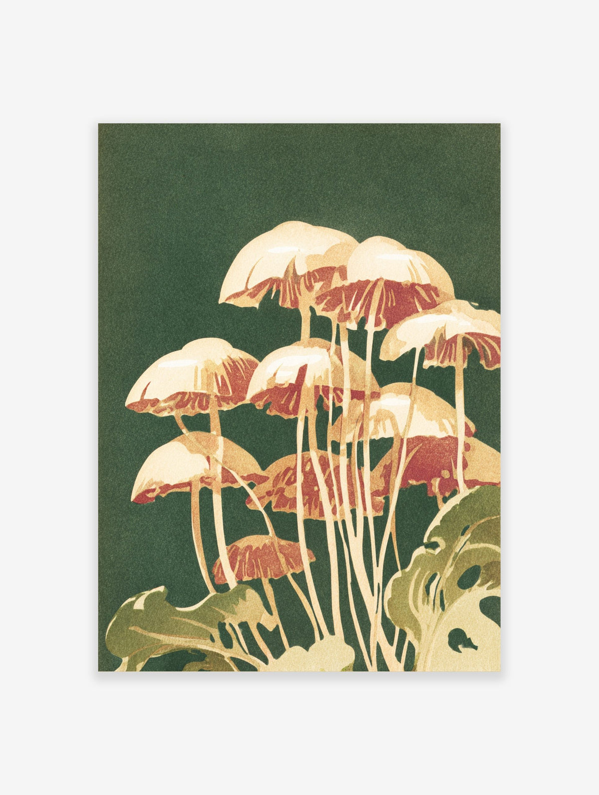 Illustrative print of cream and reddish-brown mushrooms with green foliage on a dark green background
