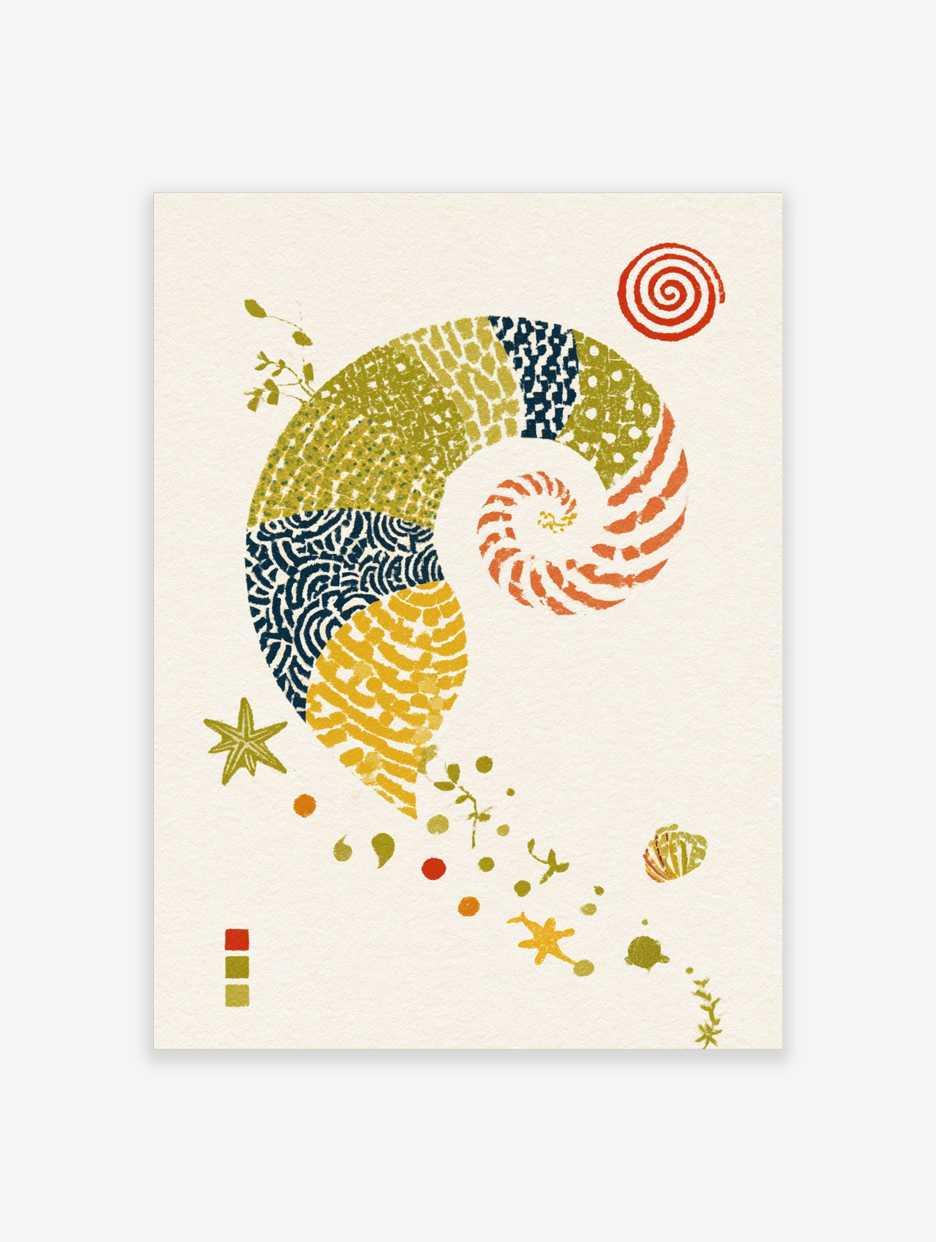 Illustrative nautilus shell art print with patterned segments, starfish, and spiral motifs on a cream background