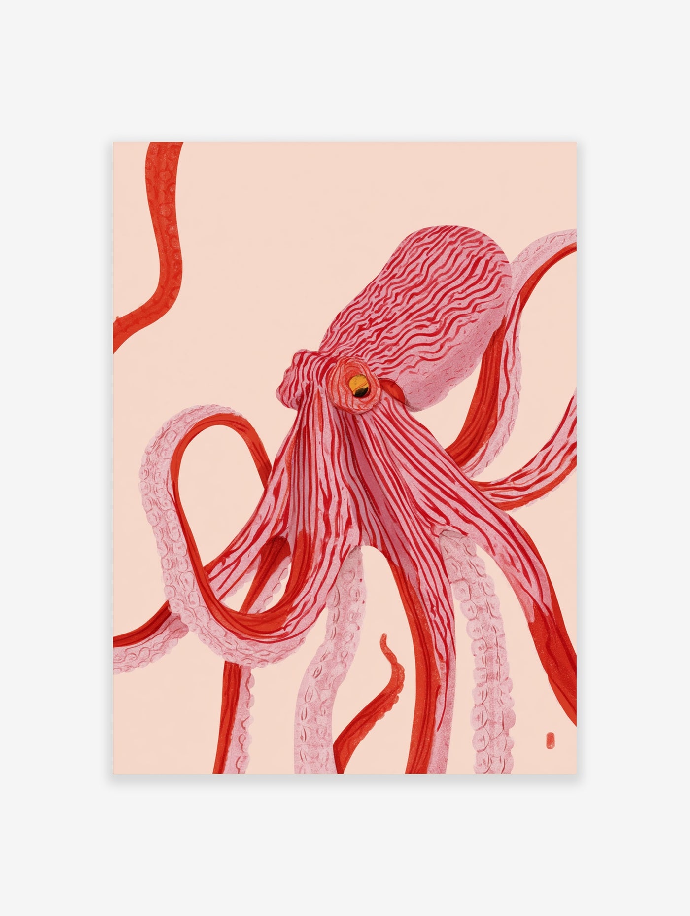 Illustrative octopus wall art print in shades of pink and red on a light background