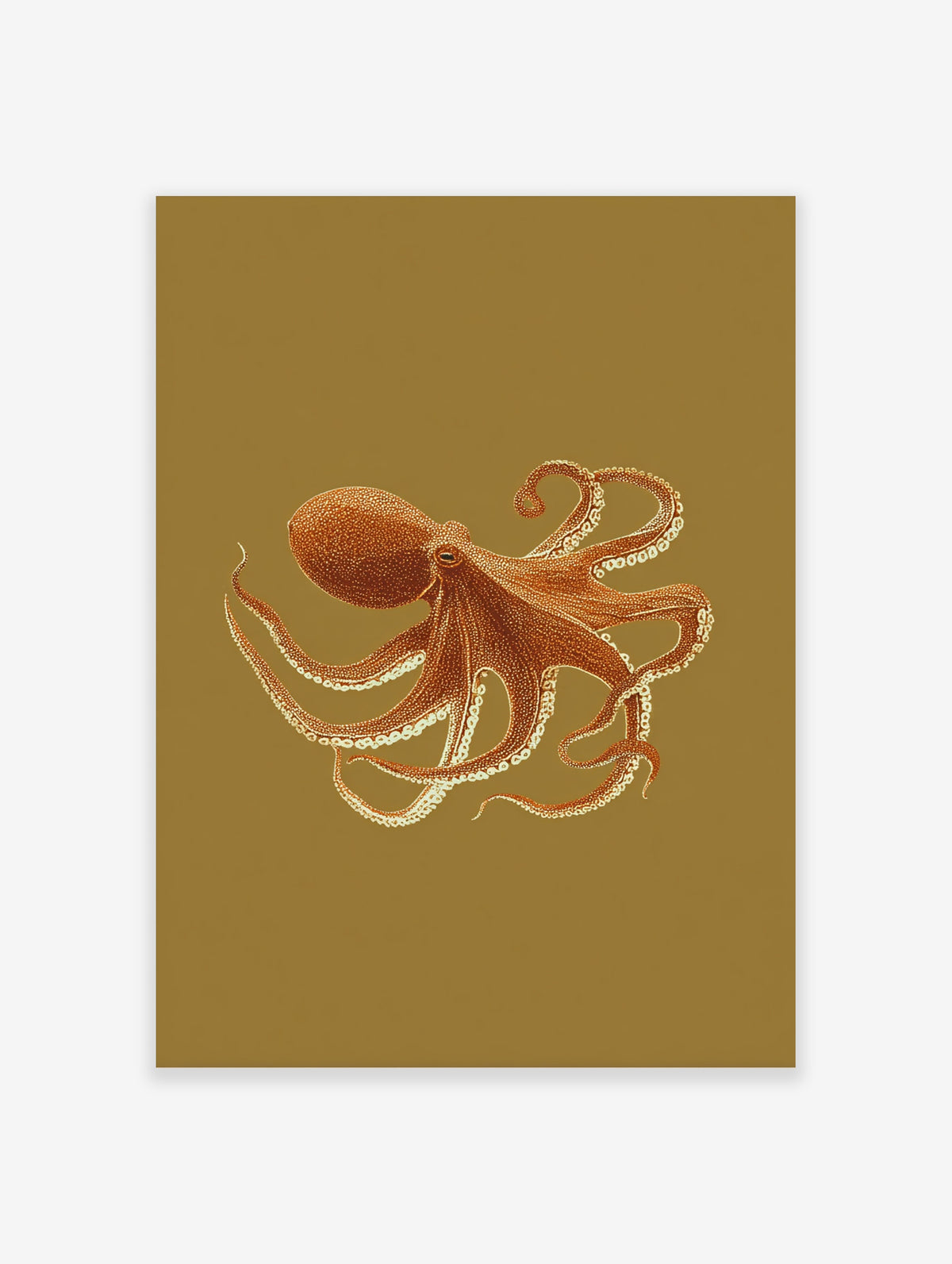 Orange octopus illustration with curled tentacles and white suckers on a mustard background