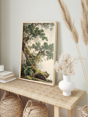 Detailed botanical illustration poster of an old, moss-covered oak tree with lush green foliage against a light background. - Image 4
