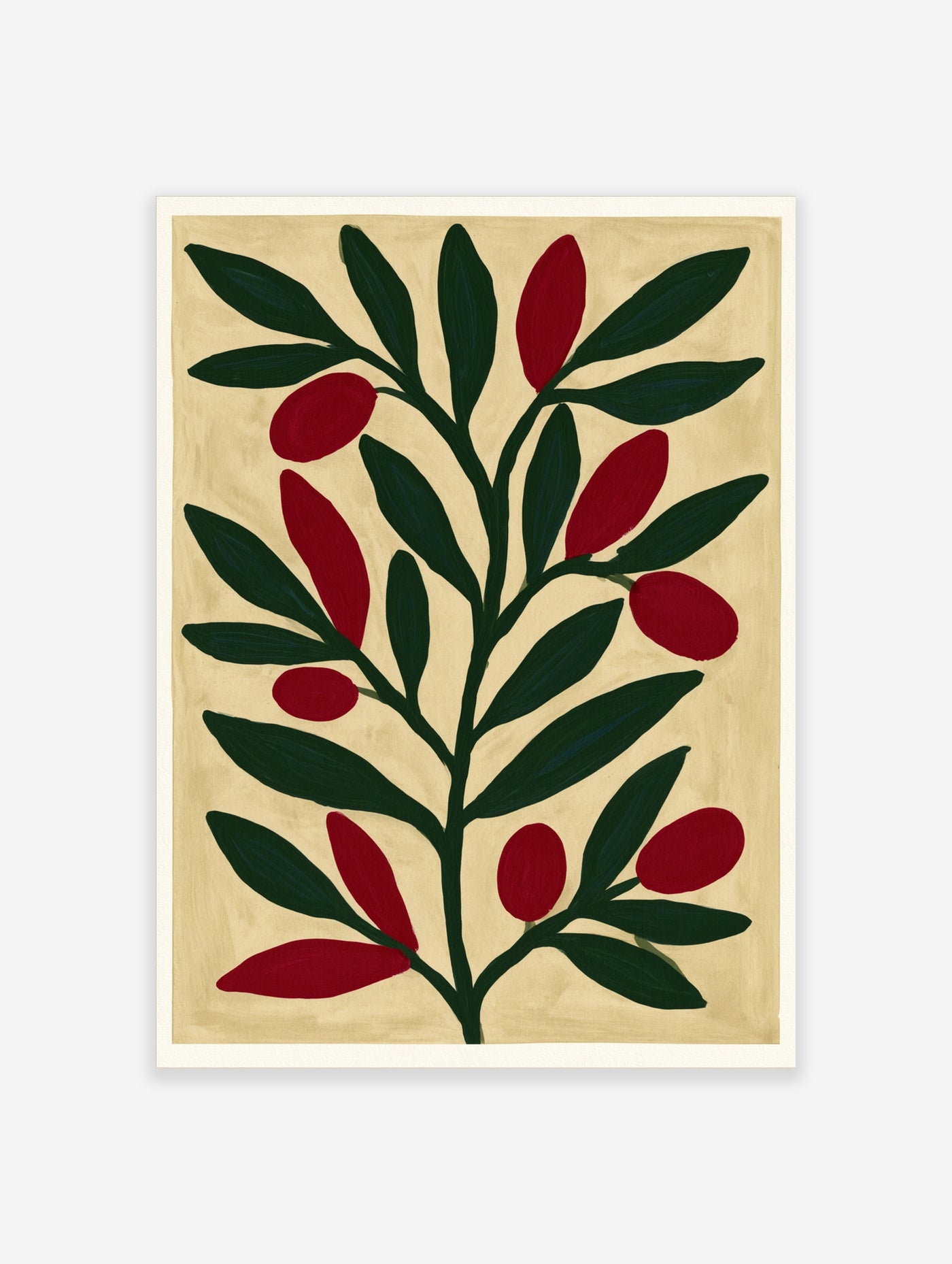 Botanical olive branch illustration with red fruits and dark green leaves on a cream background