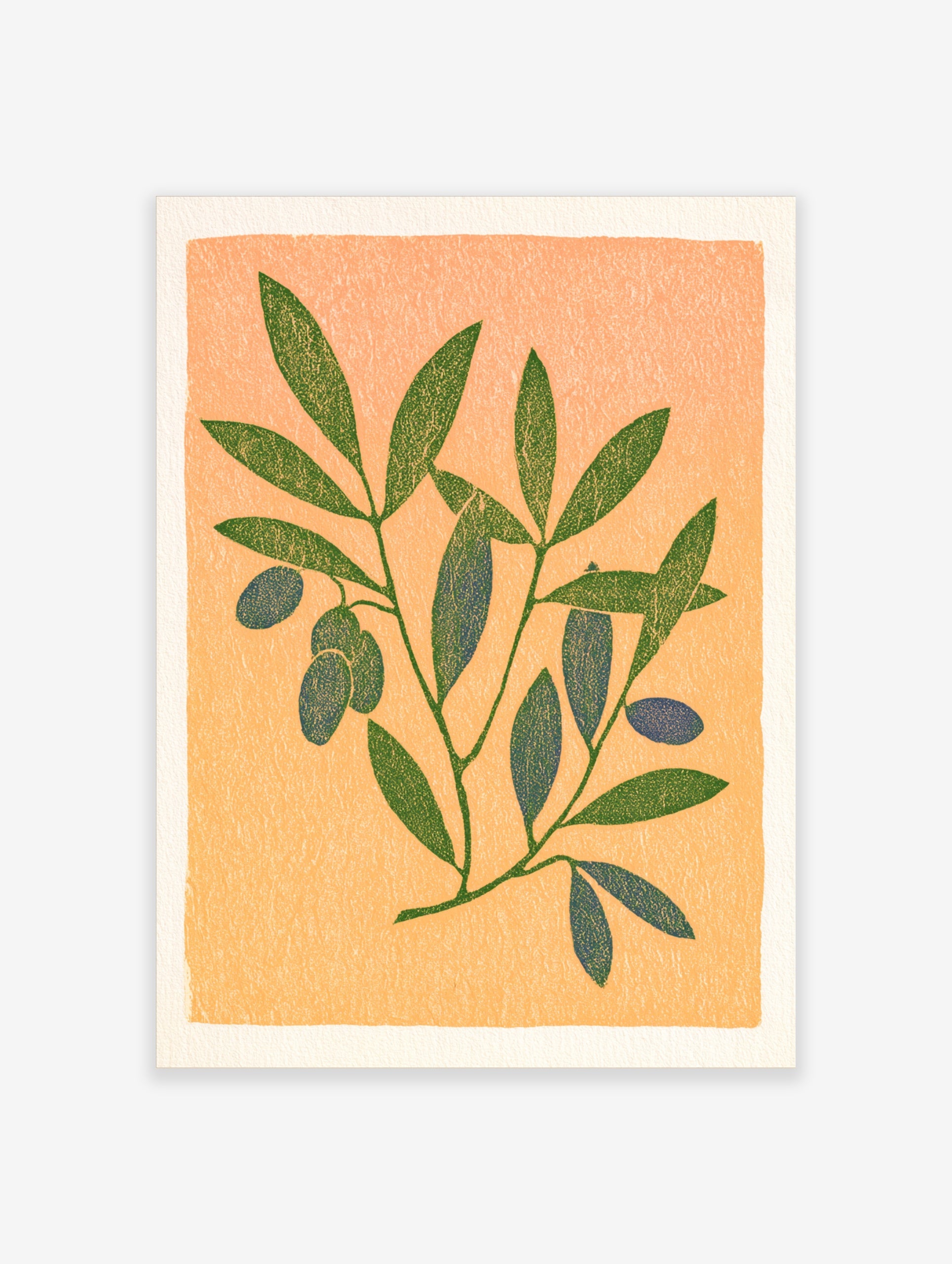 Botanical illustration of an olive branch with green leaves and blue olives on a textured peach background