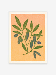 Botanical illustration of an olive branch with green leaves and blue olives on a textured peach background