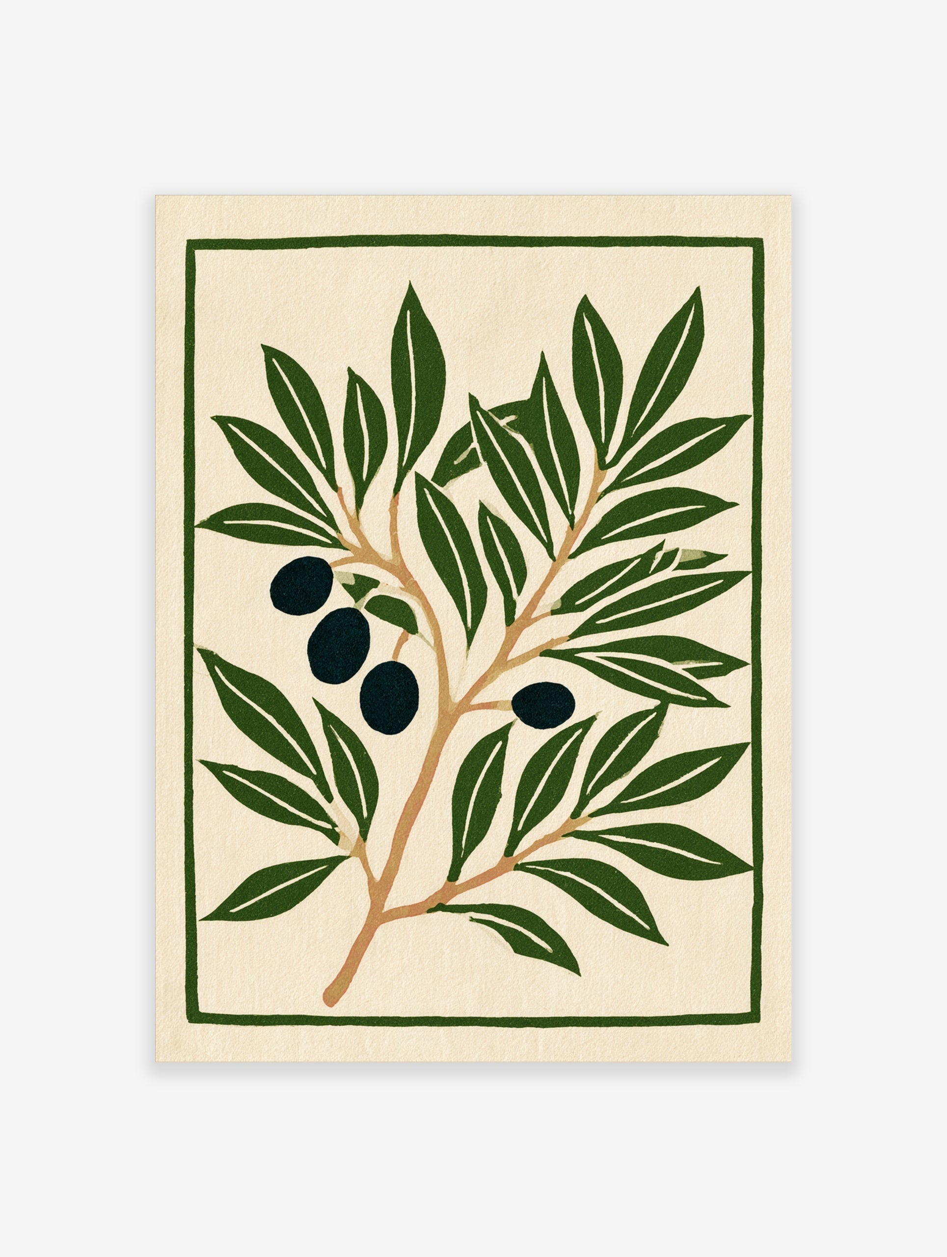 Olive branch botanical illustration with dark olives and green leaves on cream background