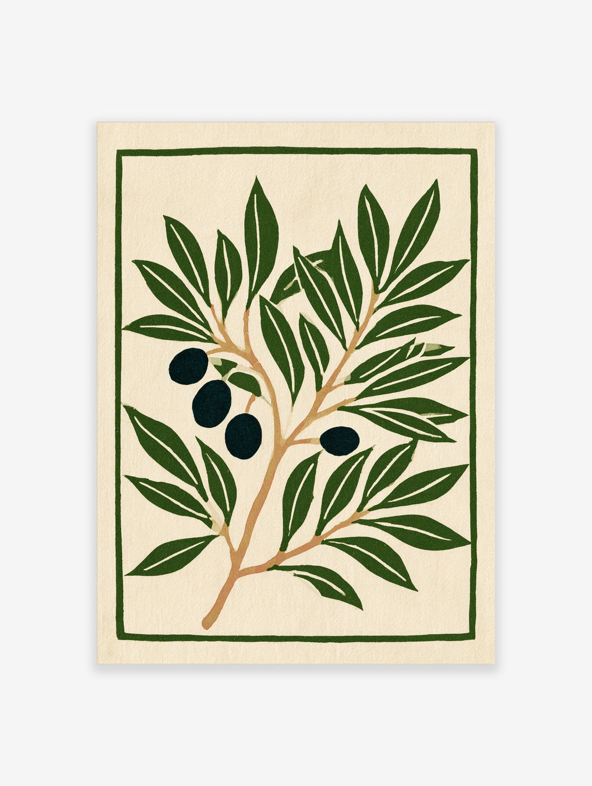 Olive branch botanical illustration with dark olives and green leaves on cream background