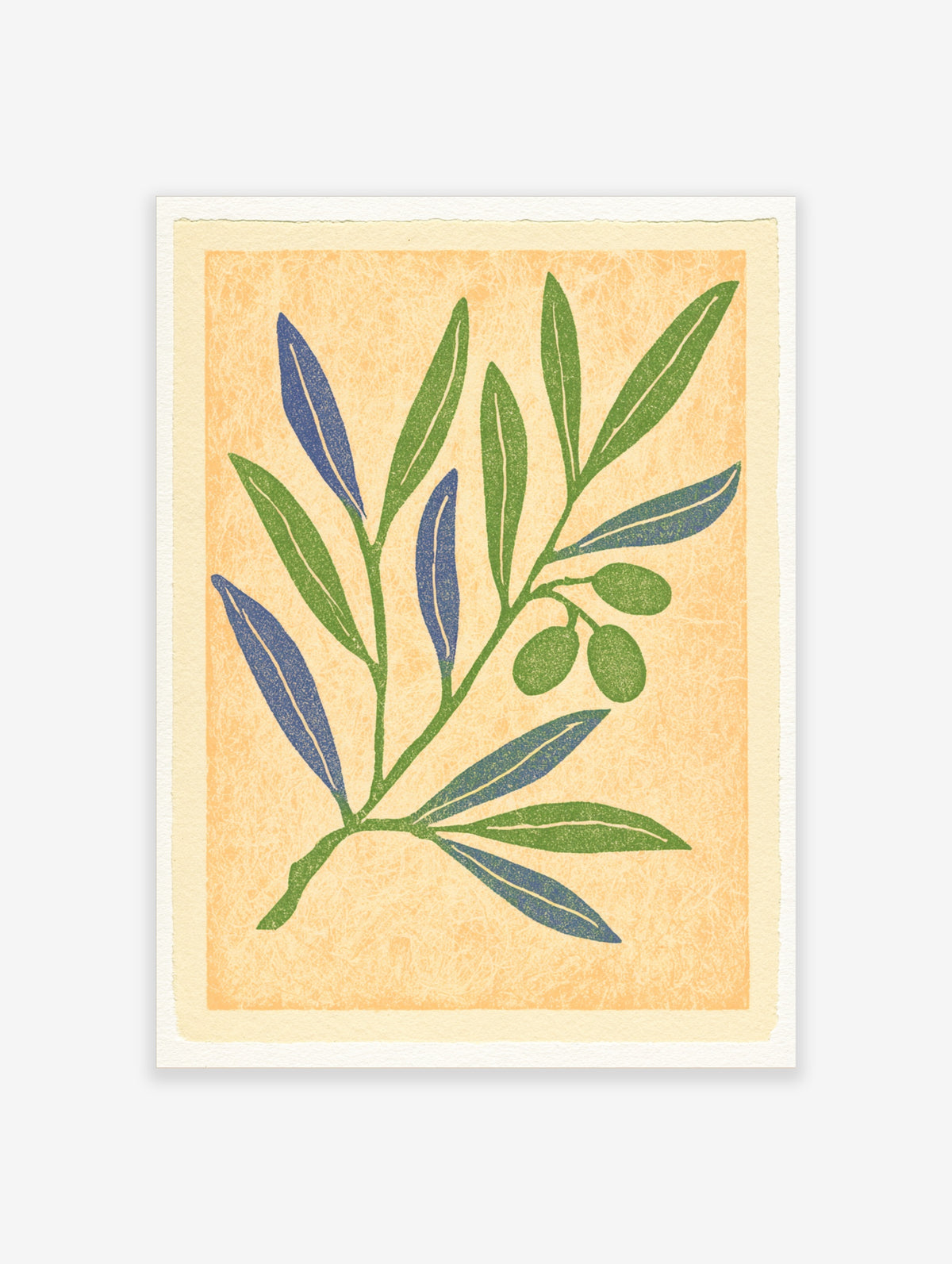 Botanical olive branch illustration with green and blue leaves on a textured yellow background