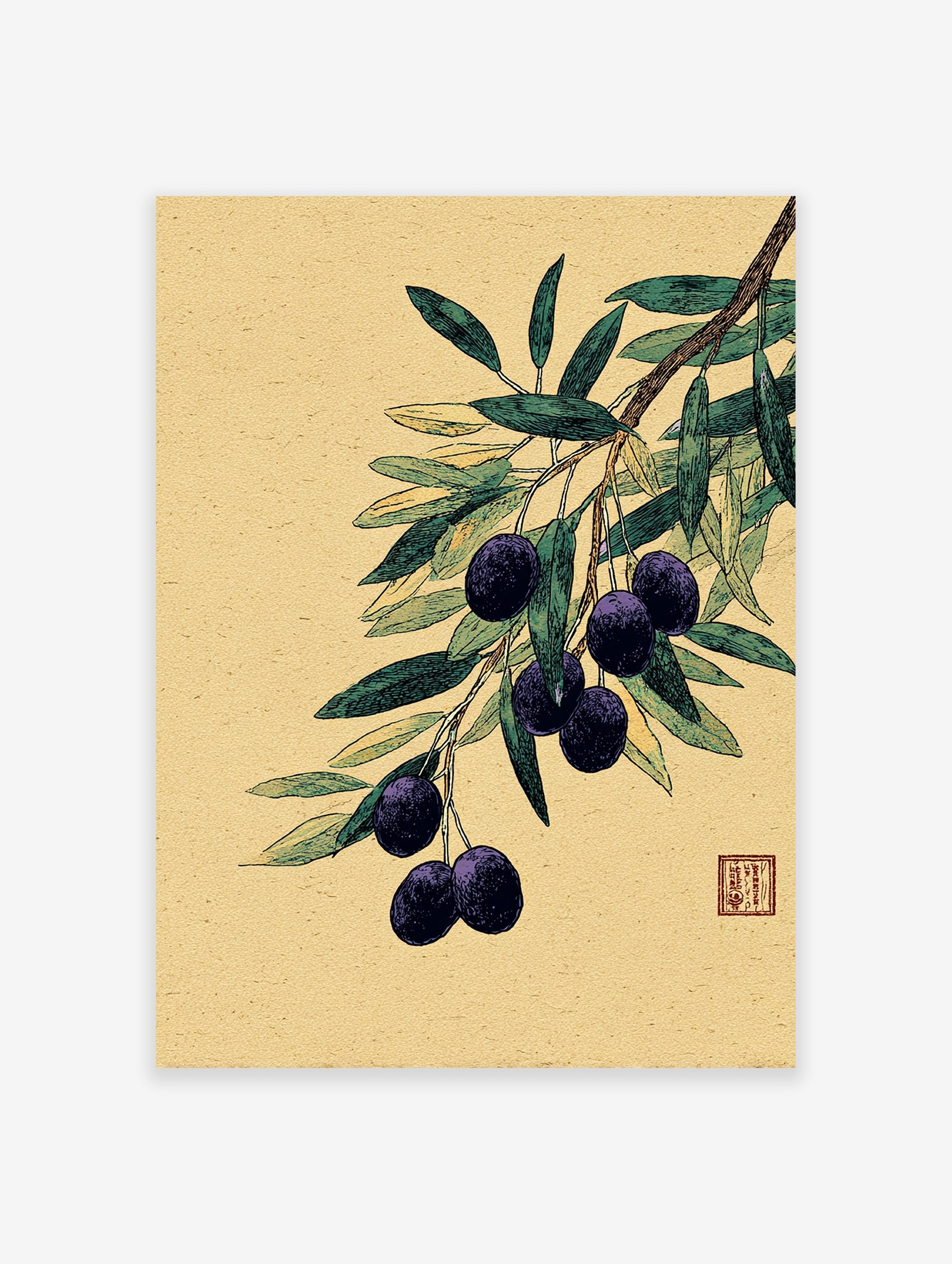 Botanical illustration of an olive branch with dark purple olives and green leaves on a textured yellow background.