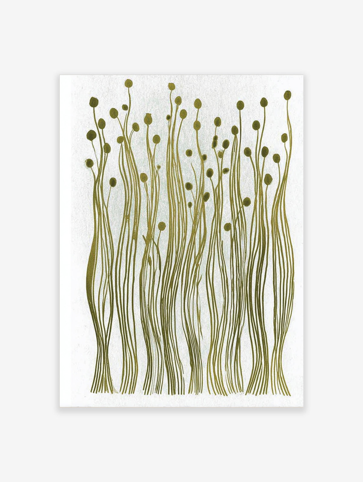 Olive green botanical poster with tall slender grass stems and rounded seed heads on a pale background