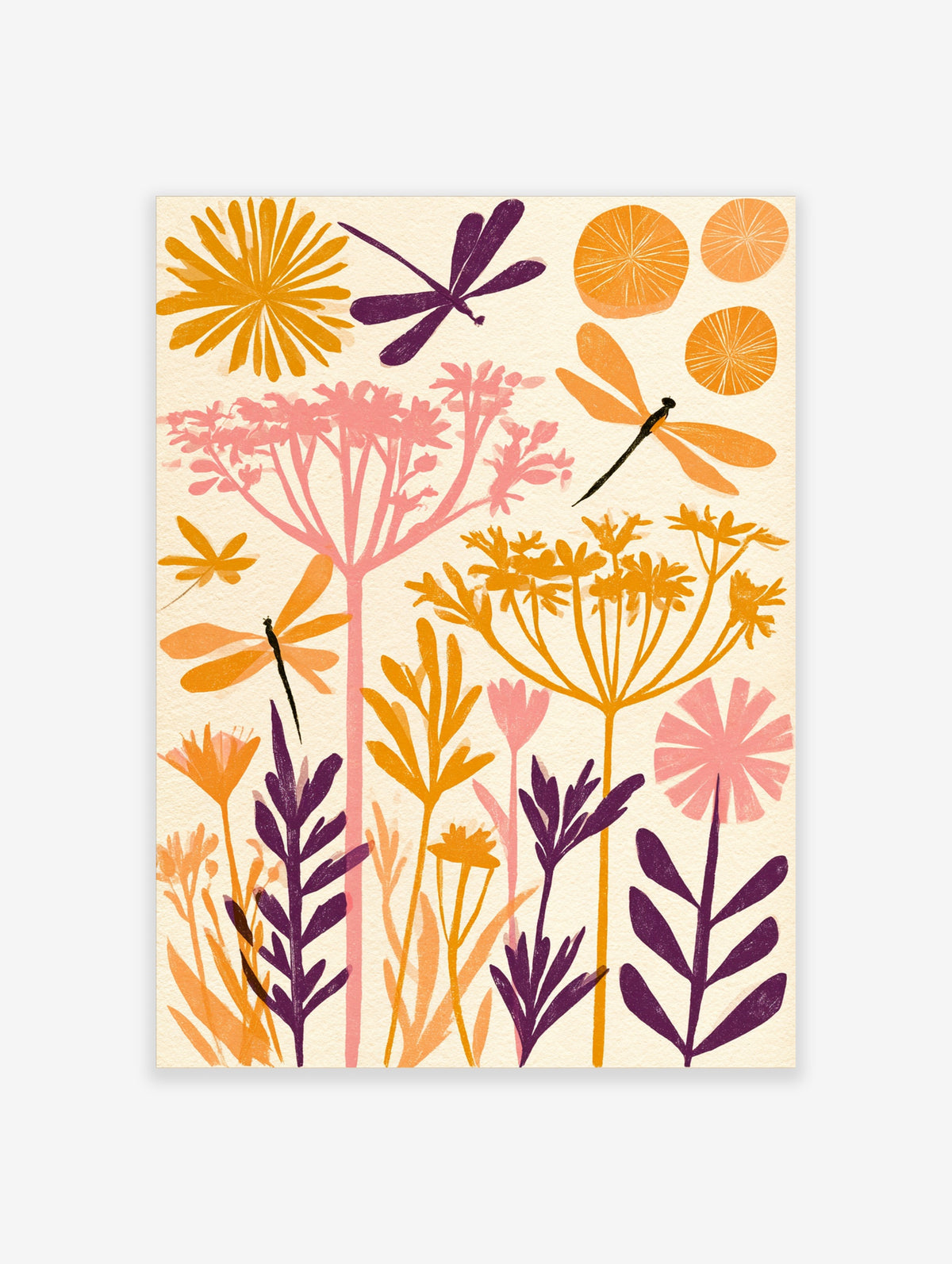 Orange and pink botanical poster with dragonflies, wildflowers and citrus slices on cream background