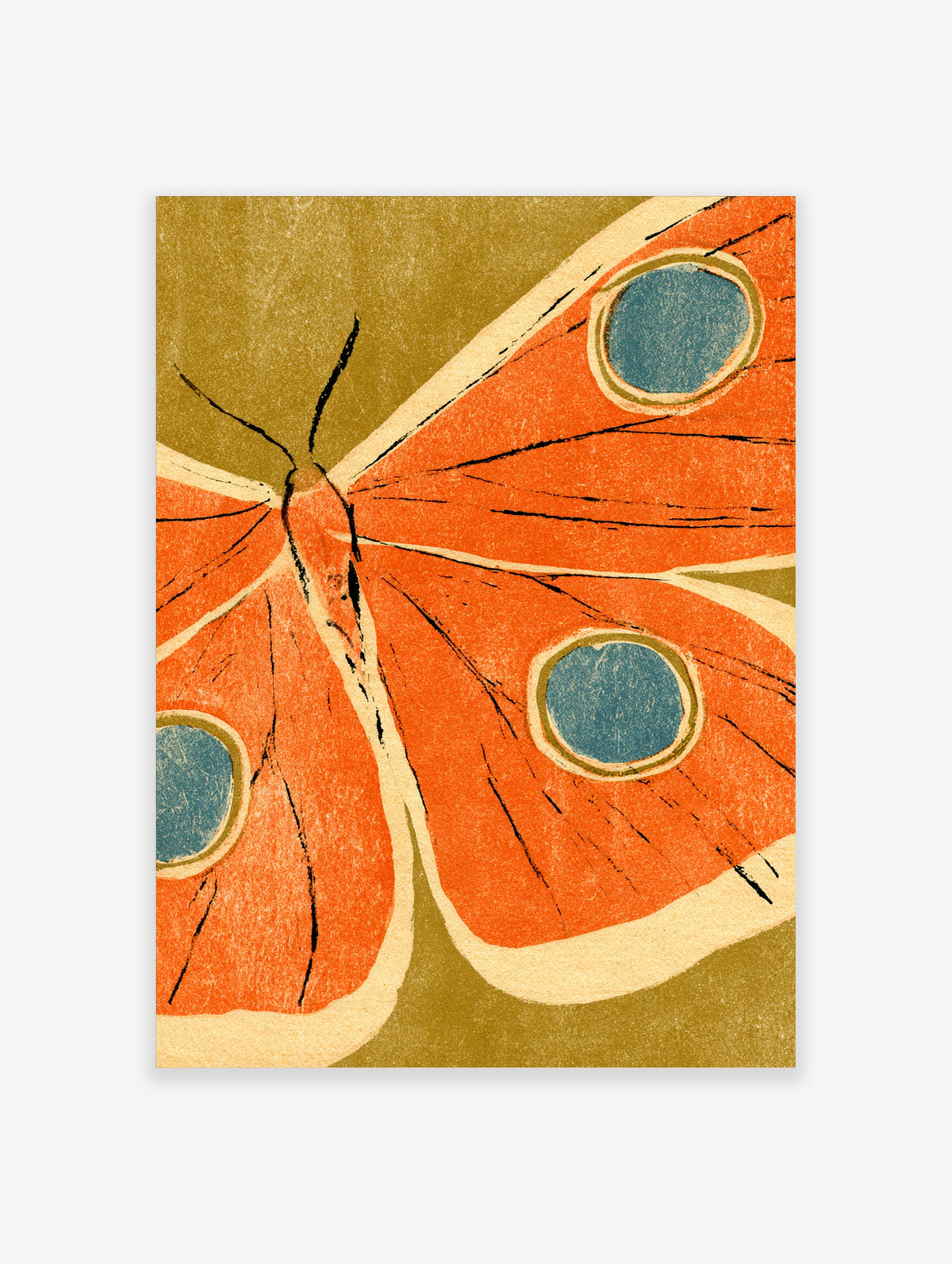 Orange moth art print with blue eyespots and black line details on olive background